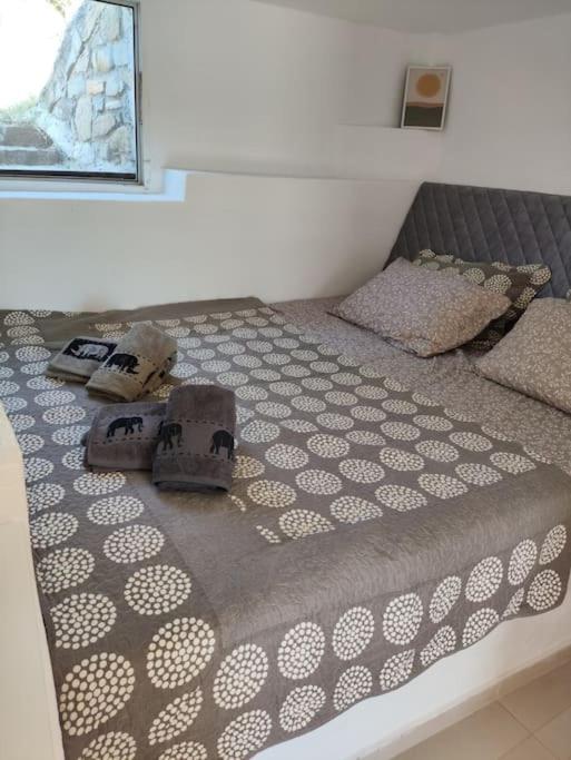 One-Bedroom House photo 1