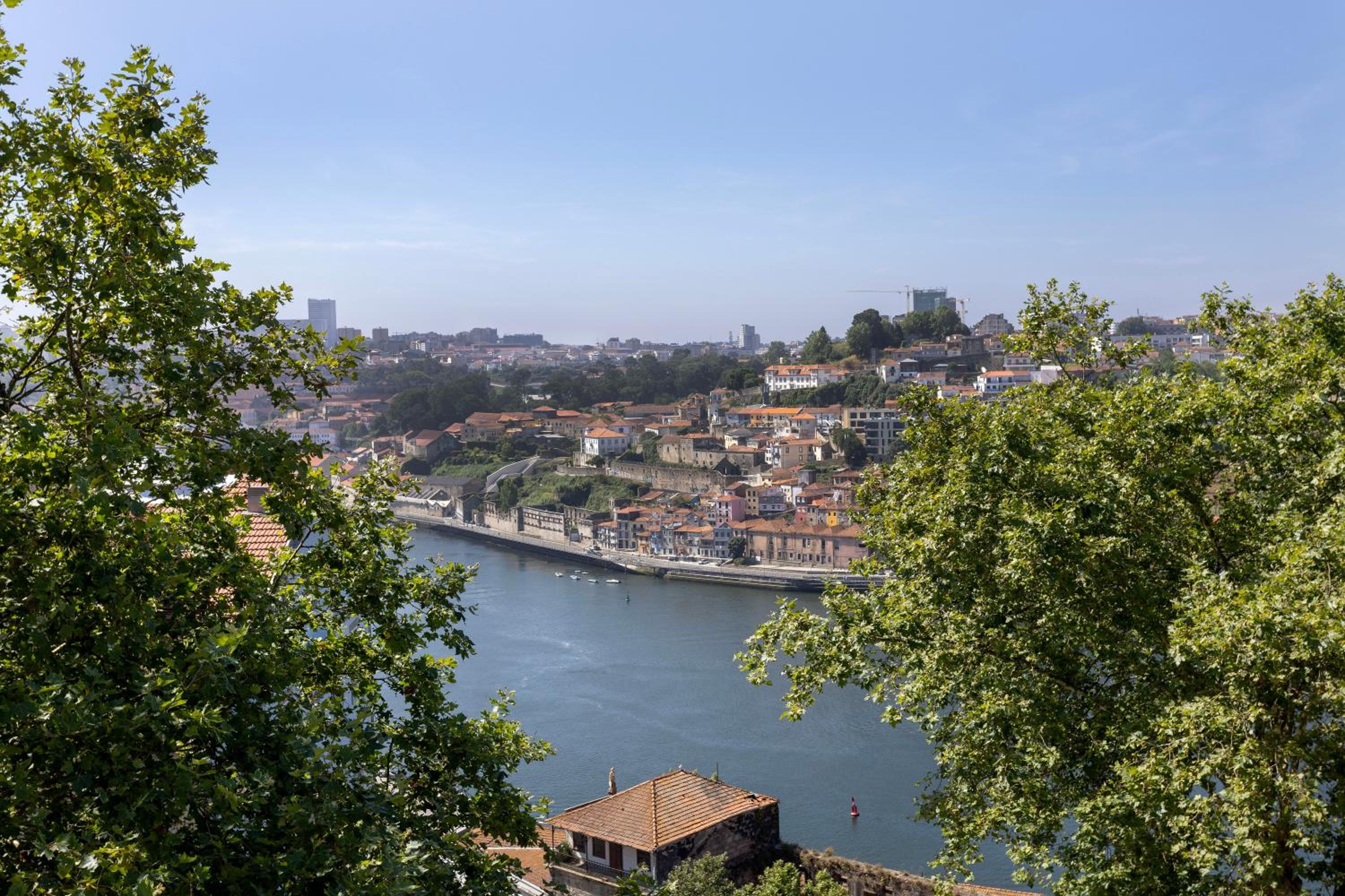 Suite with River View
