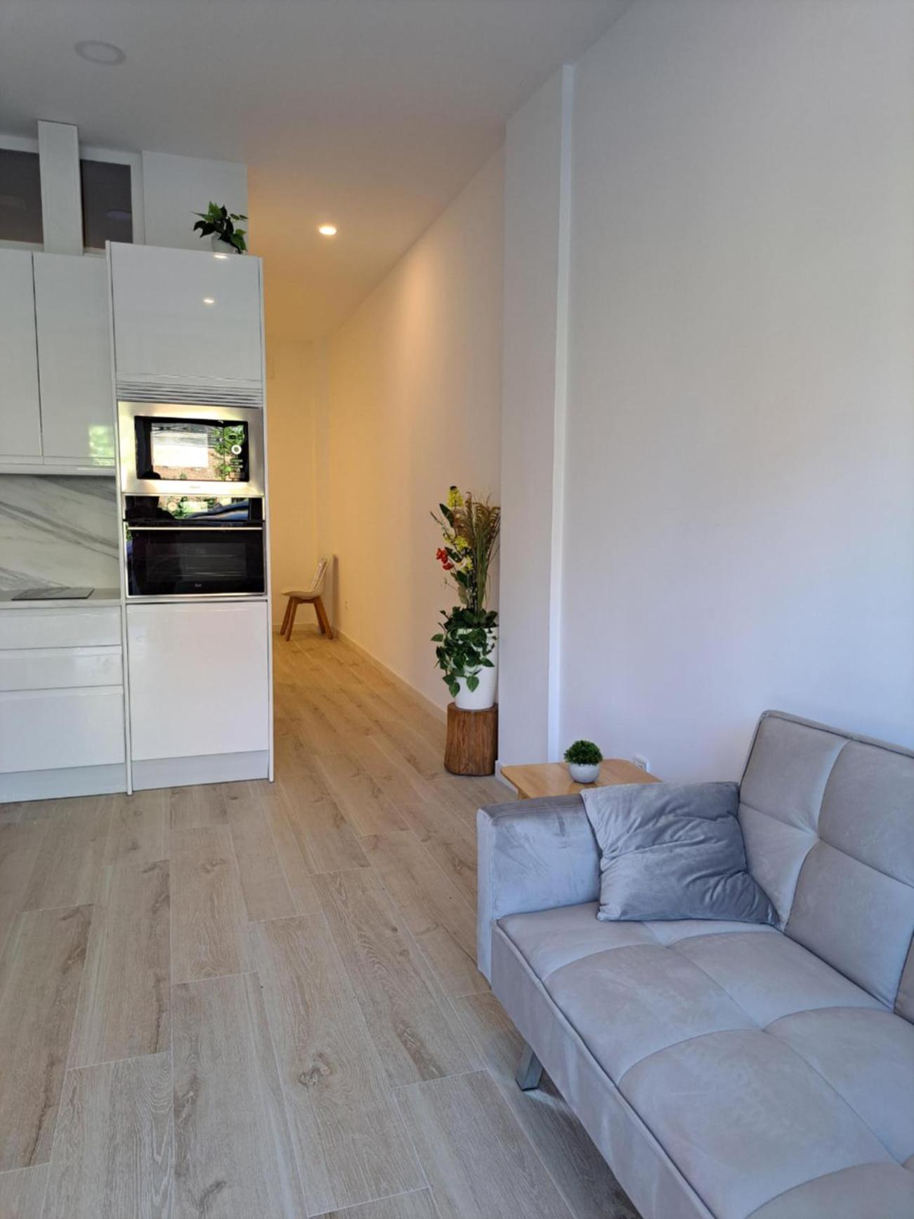 One-Bedroom Apartment photo 3