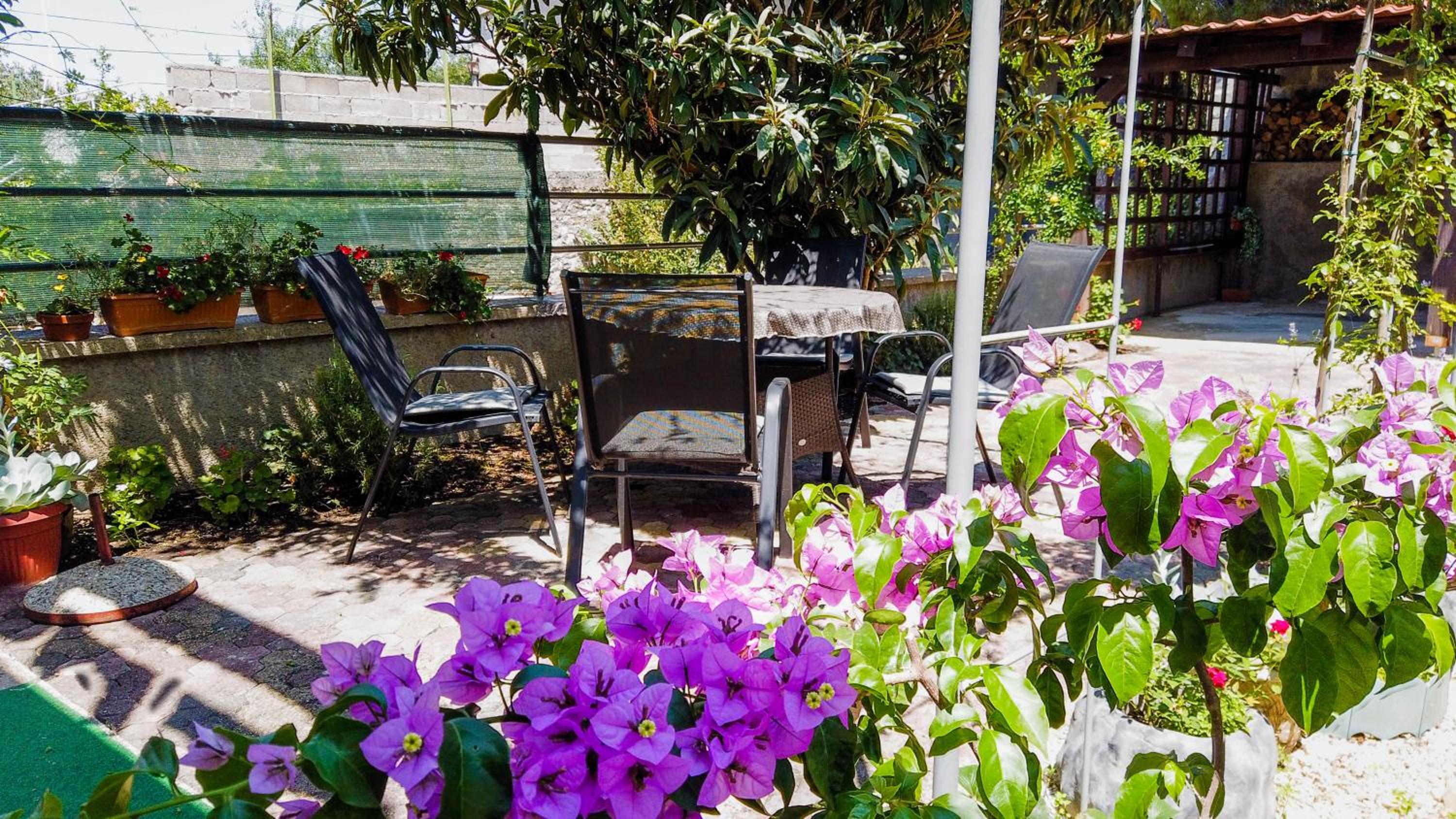Apartment with Garden View - Photo 25