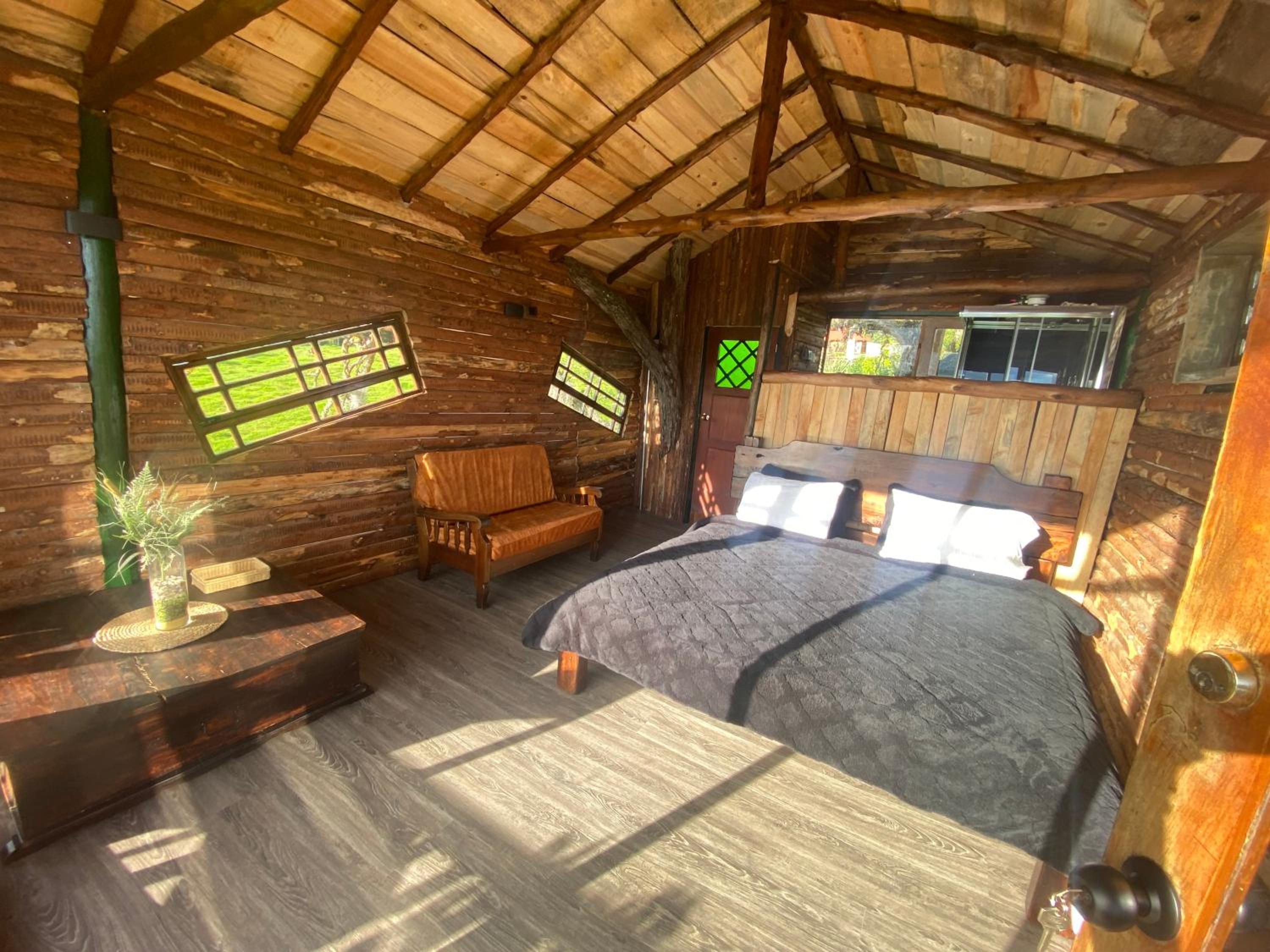 One-Bedroom House photo 2
