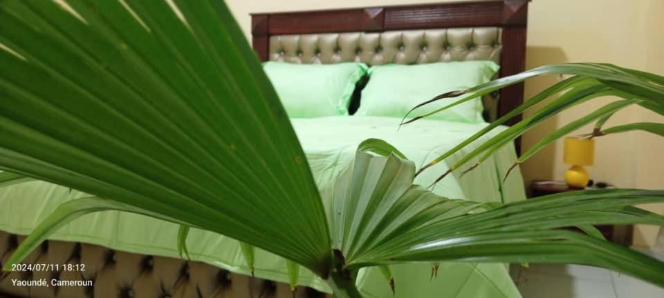 Deluxe Double Room with Shower