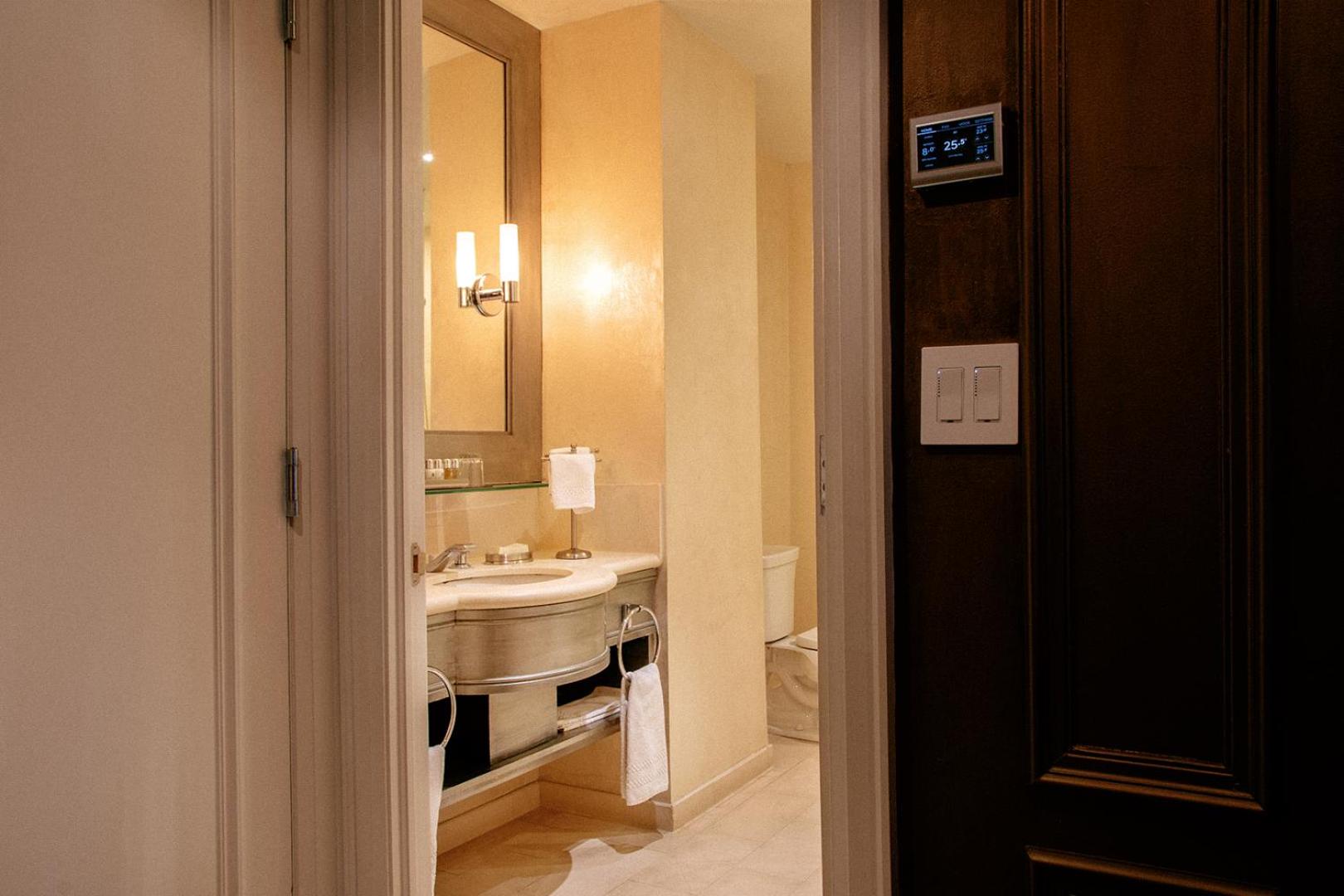 Deluxe One-Bedroom Suite - Photo 5