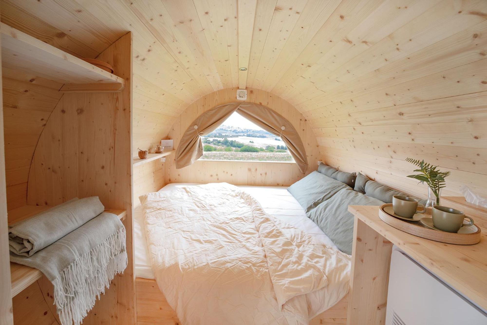 King Room with Garden View