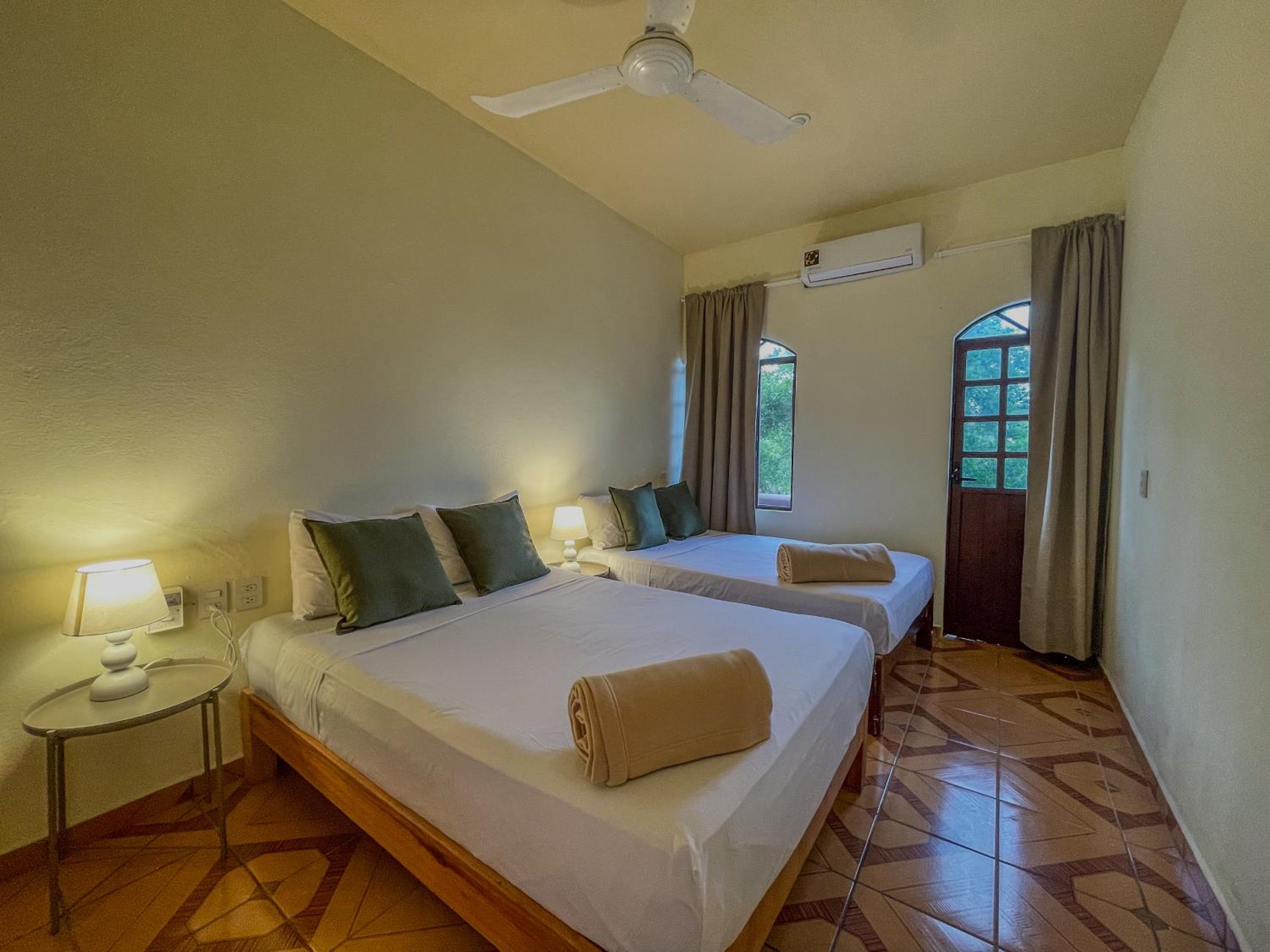 Deluxe Twin Room photo 1