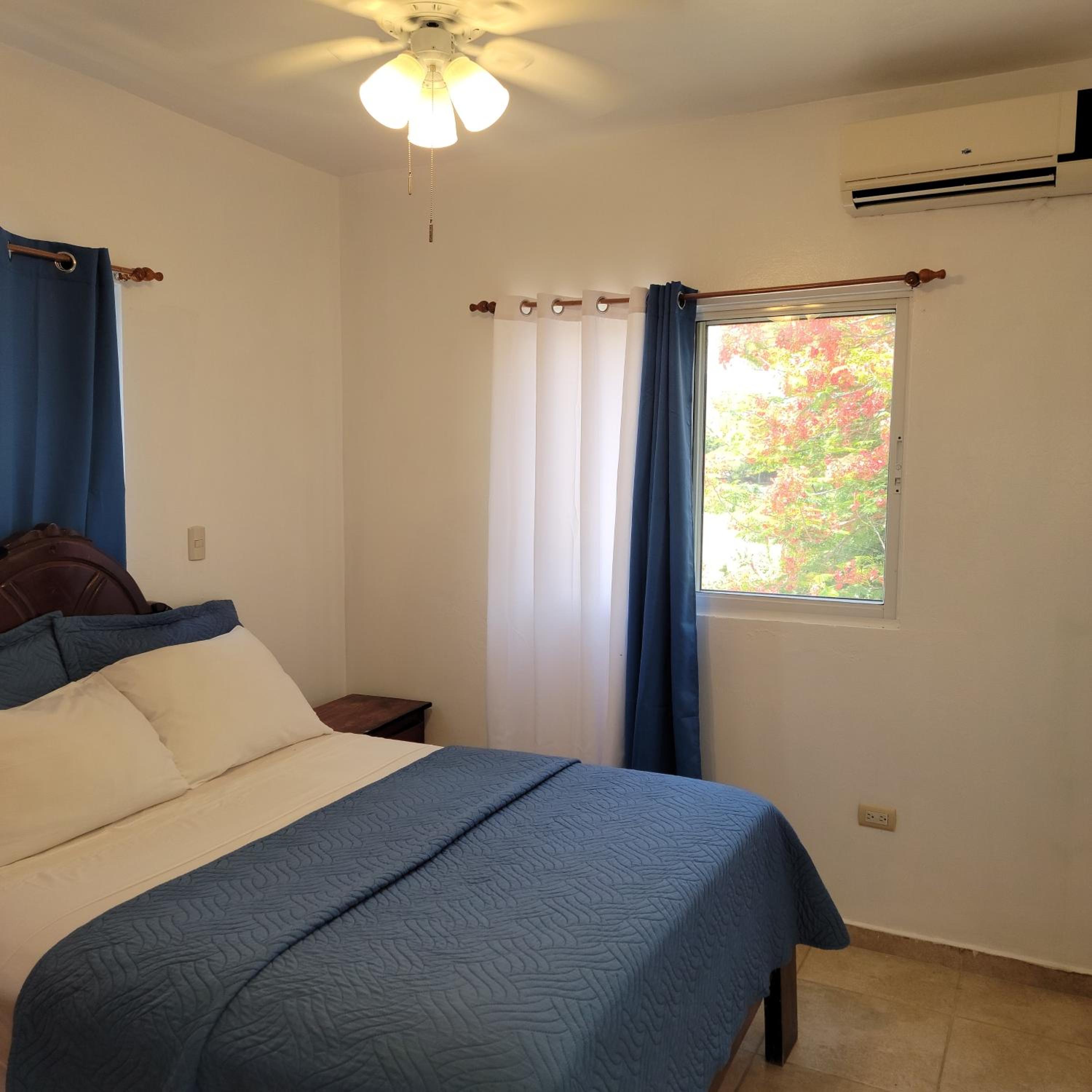 One-Bedroom Apartment photo 3