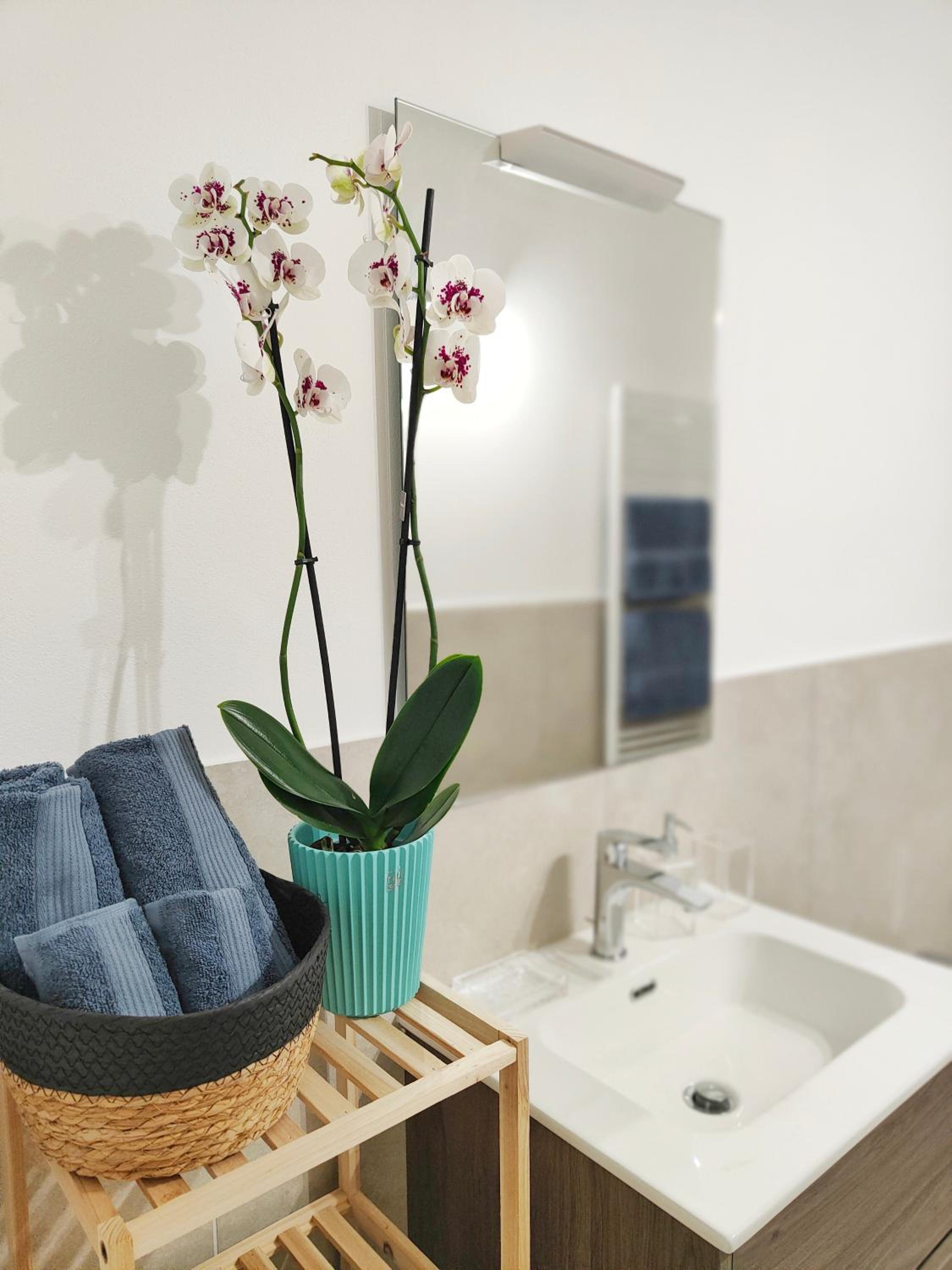 Twin Room with Shared Bathroom photo 2