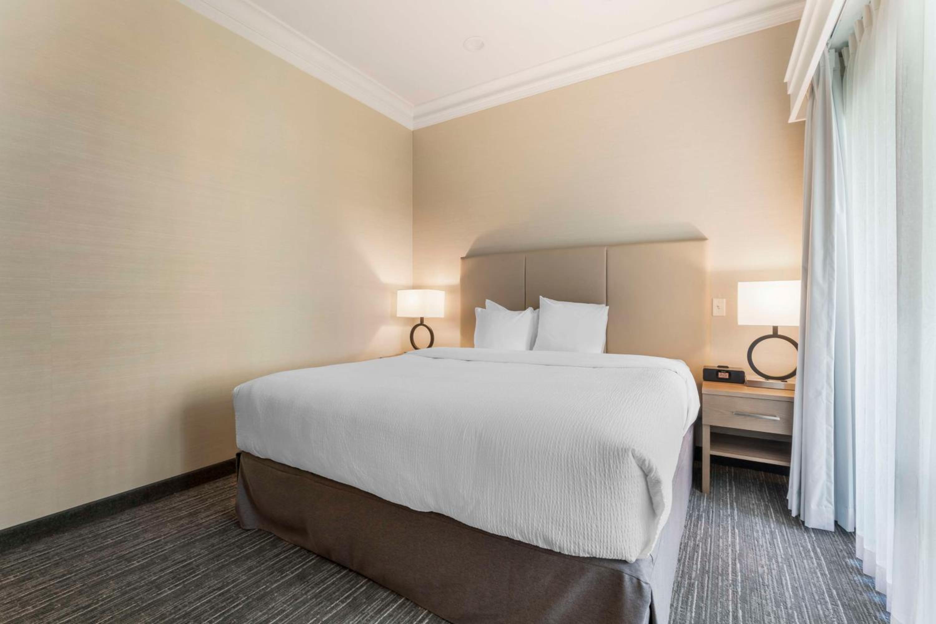 King Suite with Sofa Bed - Non-Smoking - Photo 1