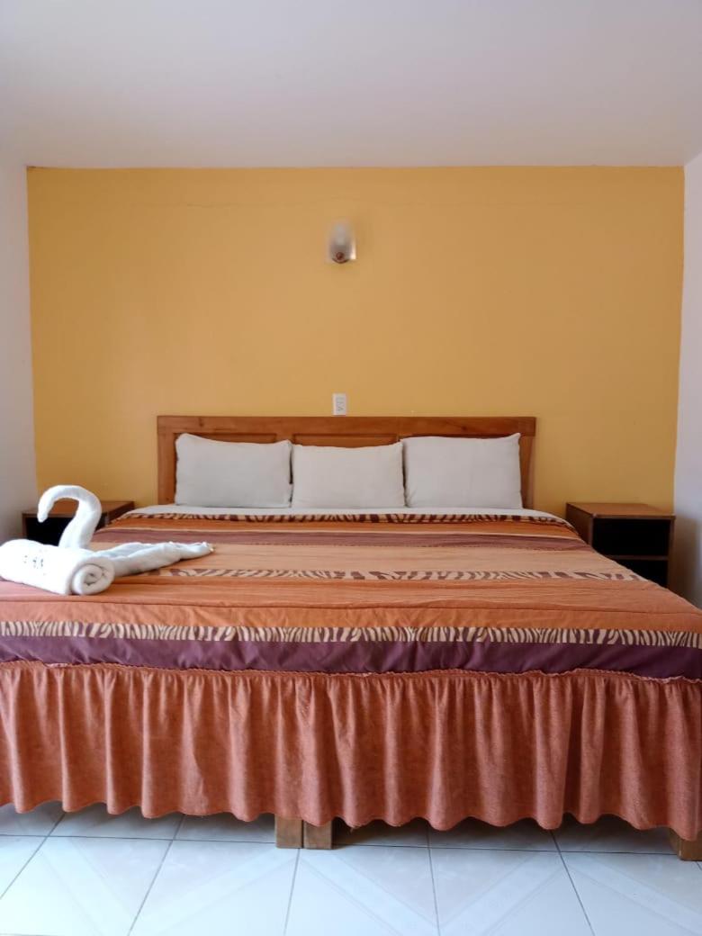 Basic Double Room