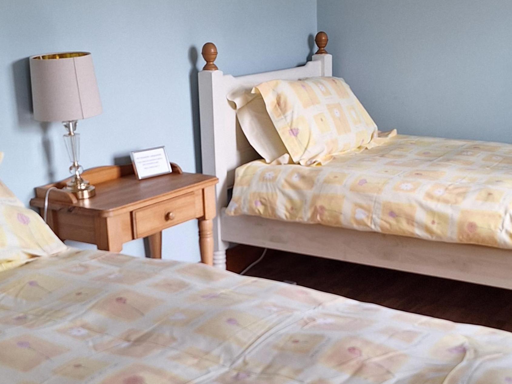 Large Twin Room photo 2