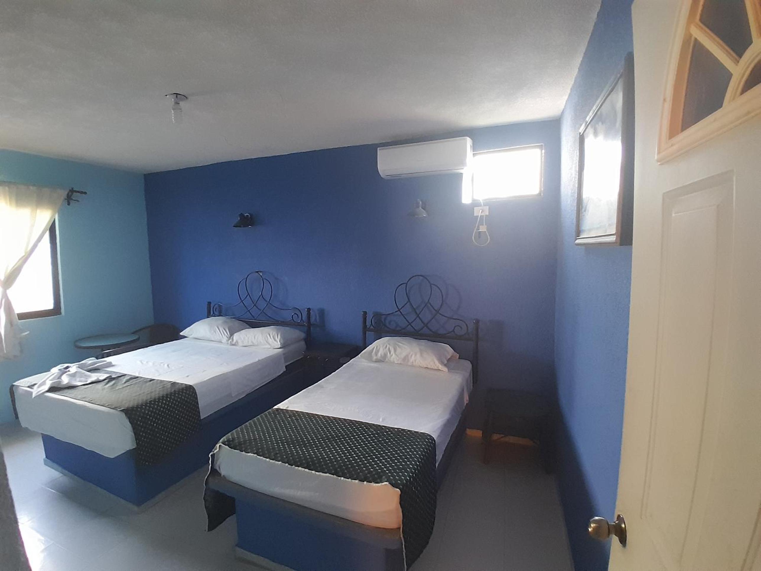 Double or Twin Room photo 2