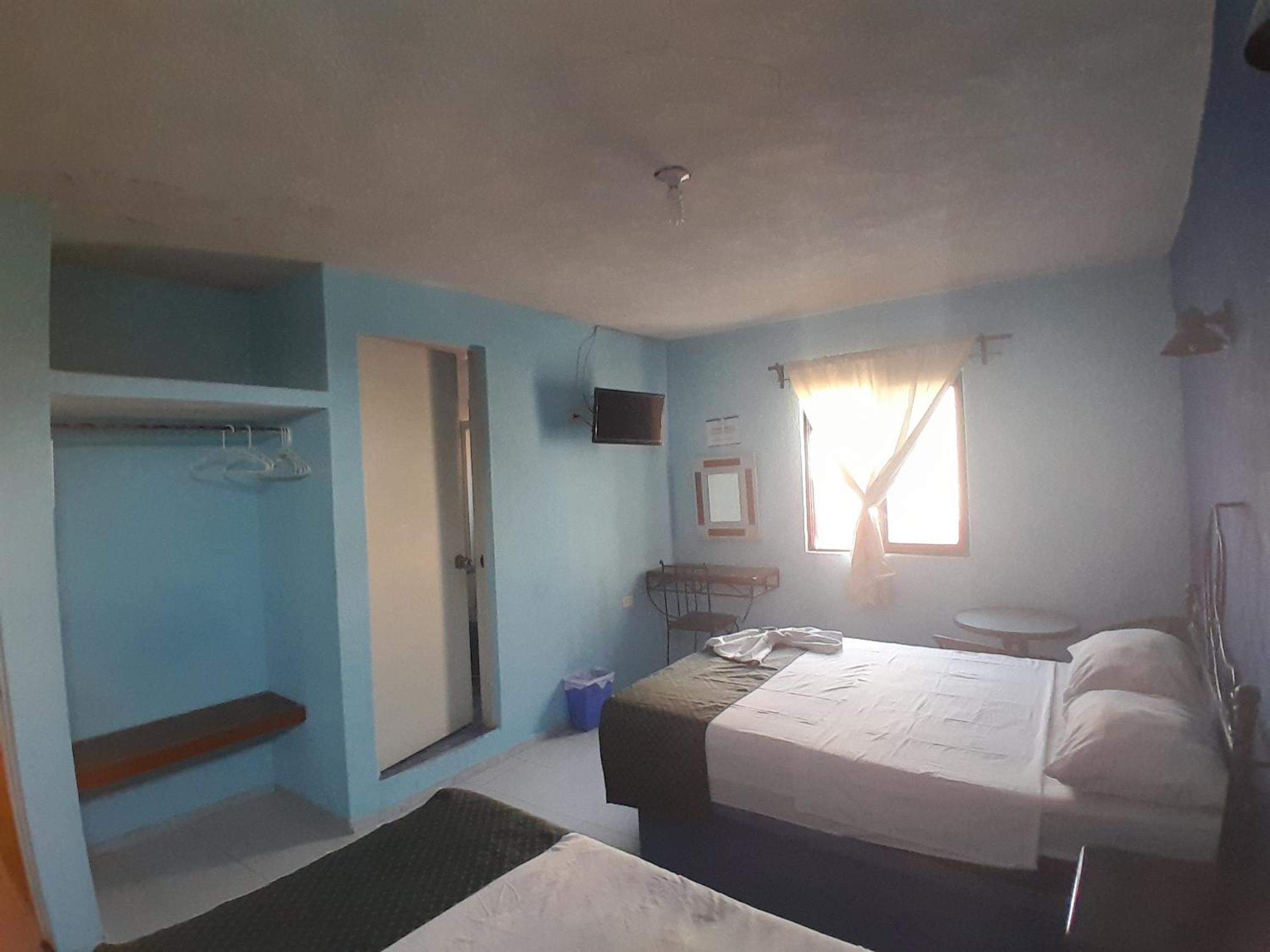 Double or Twin Room photo 1