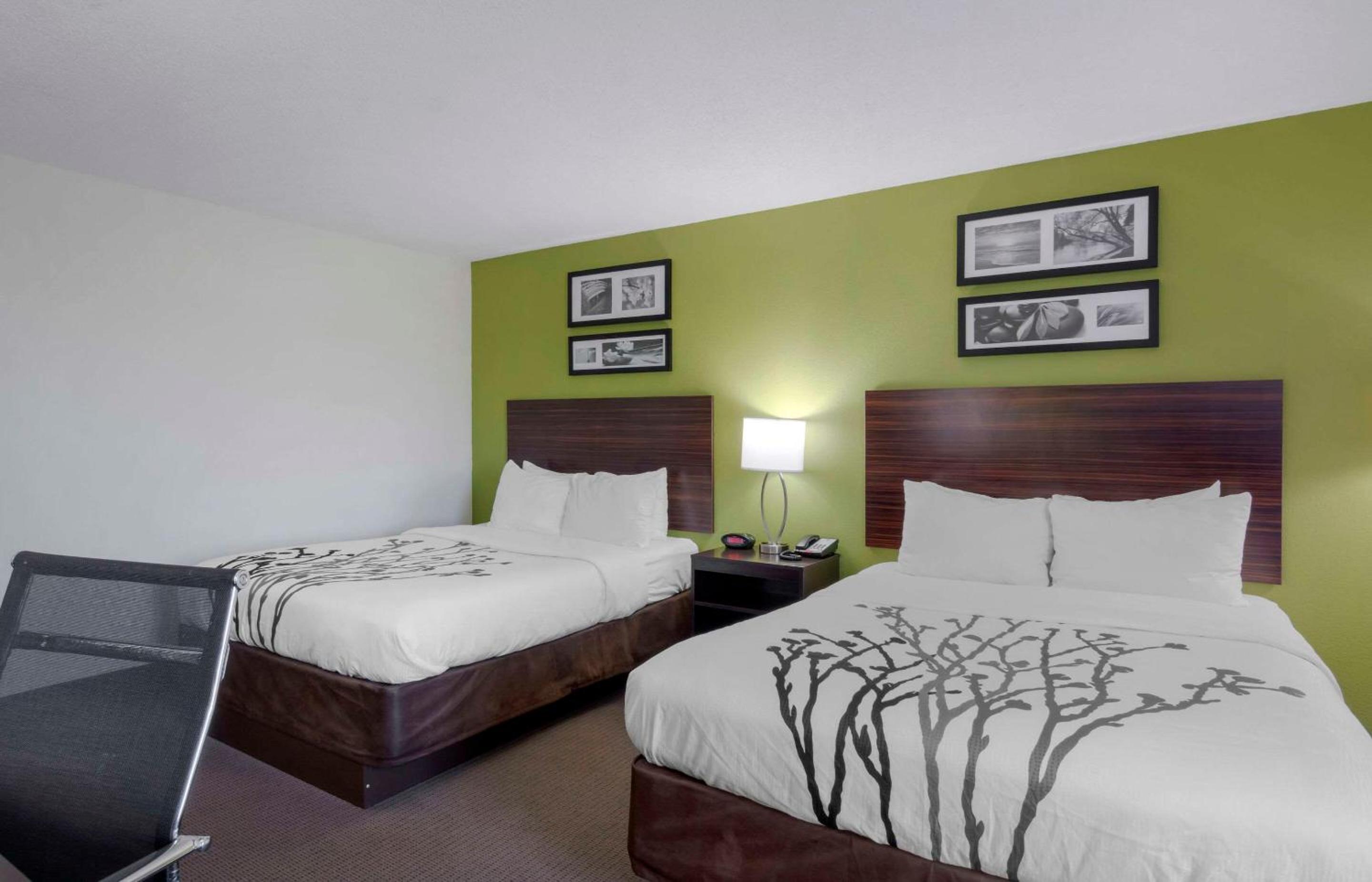 Queen Room with Two Queen Beds - Disability Access - Photo 1