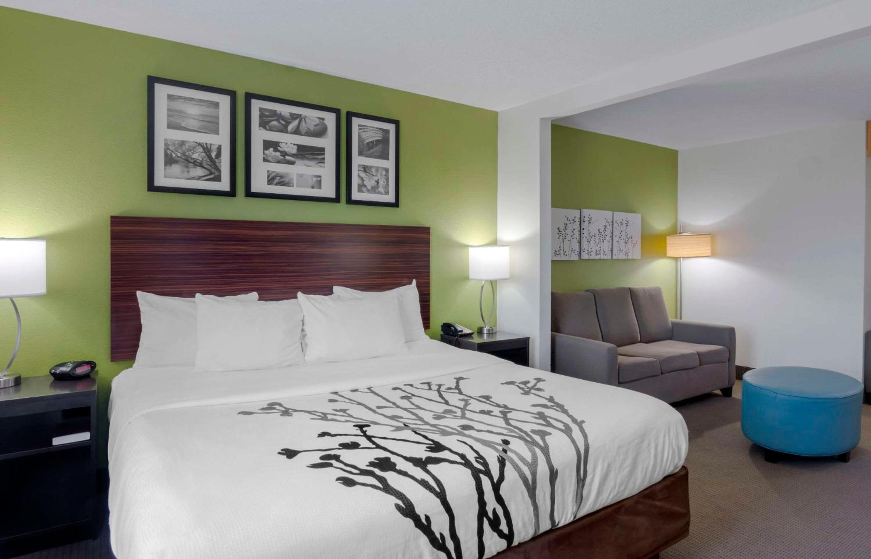King Suite - Photo 1