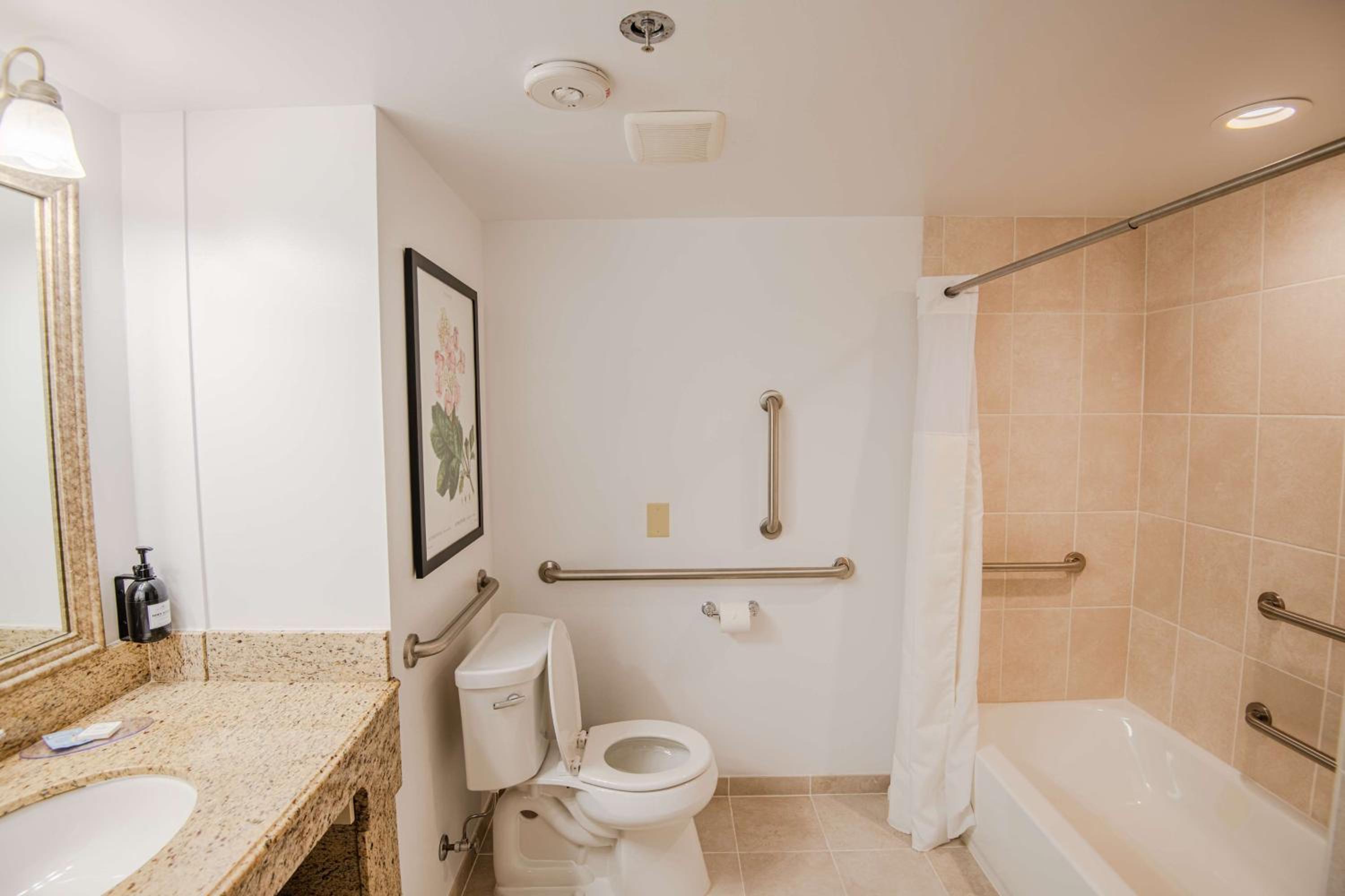King Room with Fireplace and Mobility Accessible Tub - Photo 6