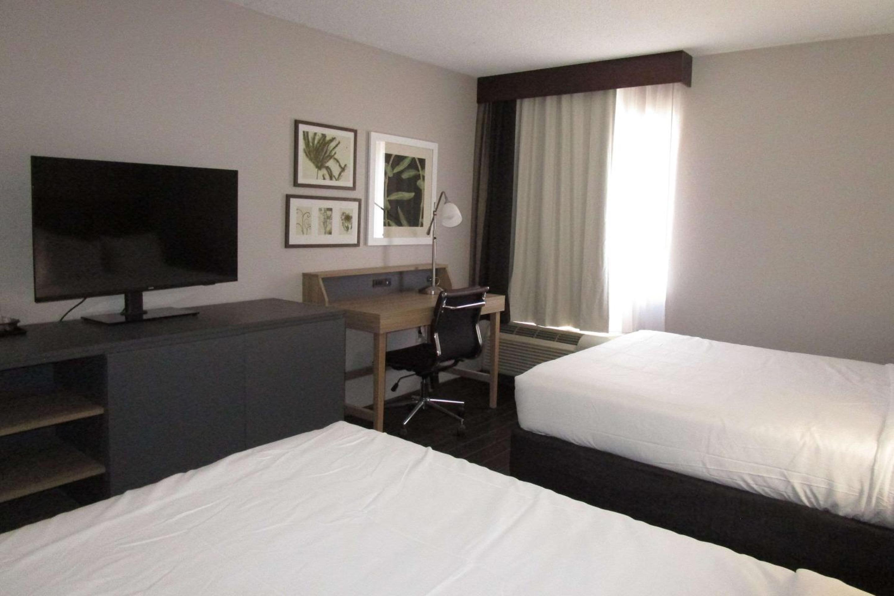 2 Queen Beds  photo 2