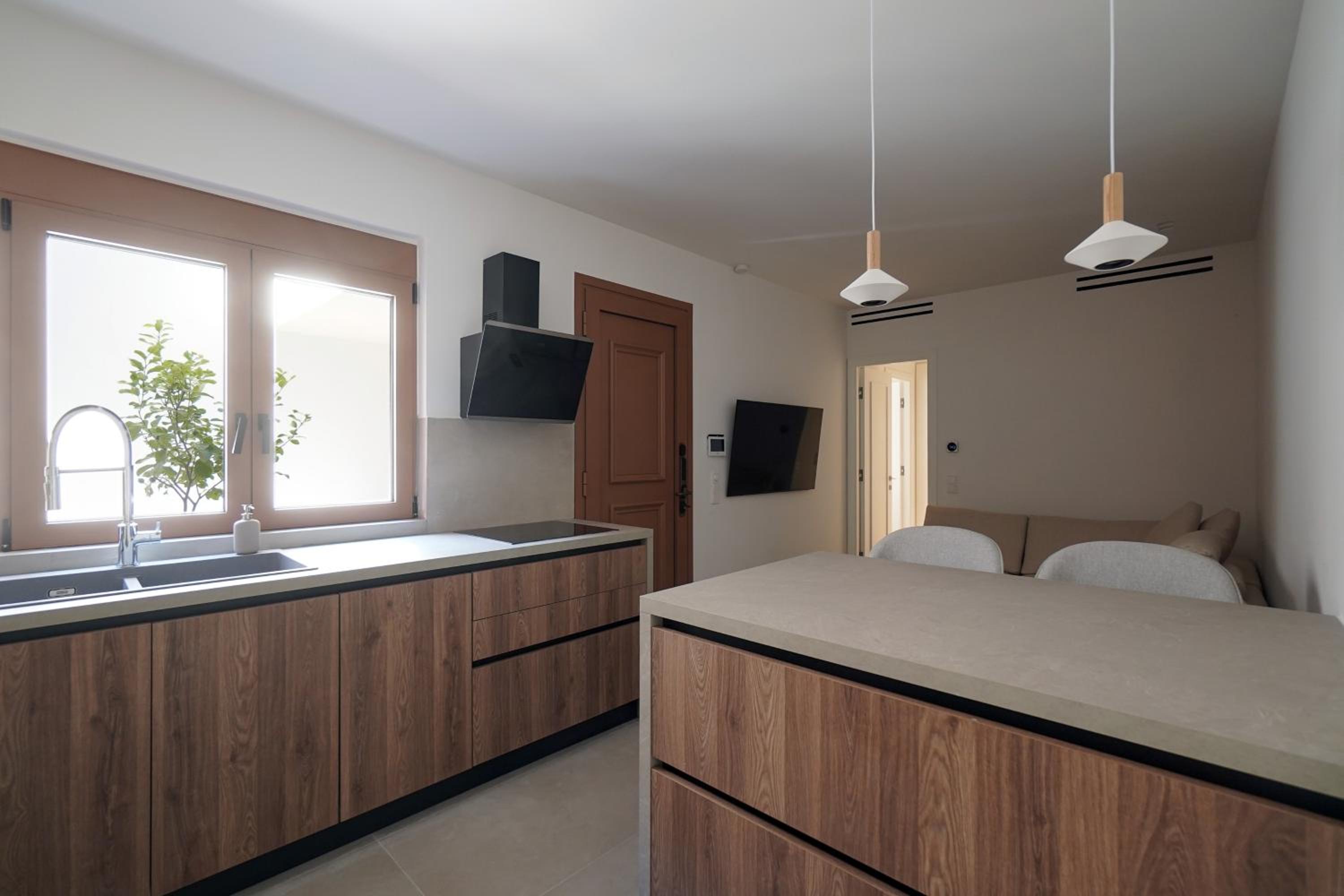 Apartment with Terrace photo 2