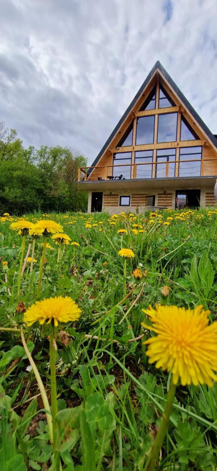 Chalet photo 2