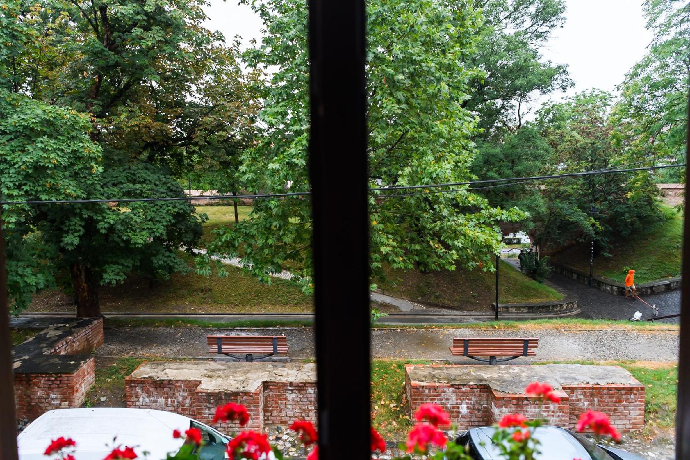 Superior Double Room with Park View - Photo 10