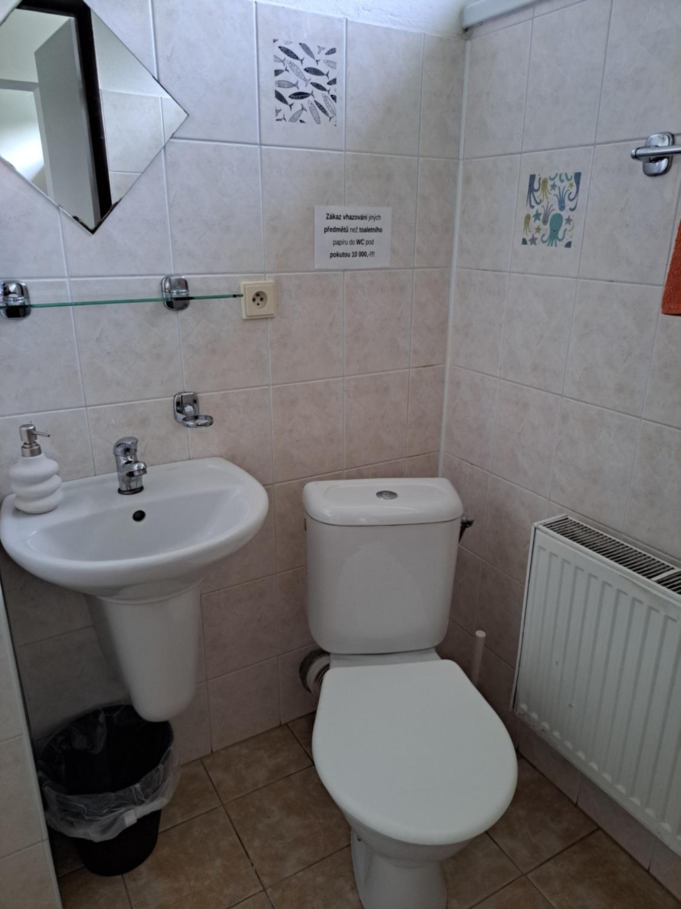Budget Single Room photo 3