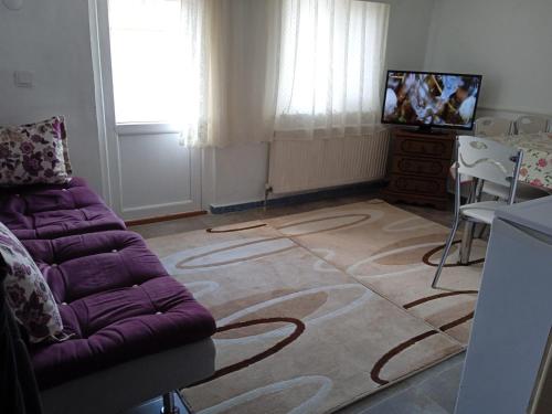 Apartment with Terrace photo 1