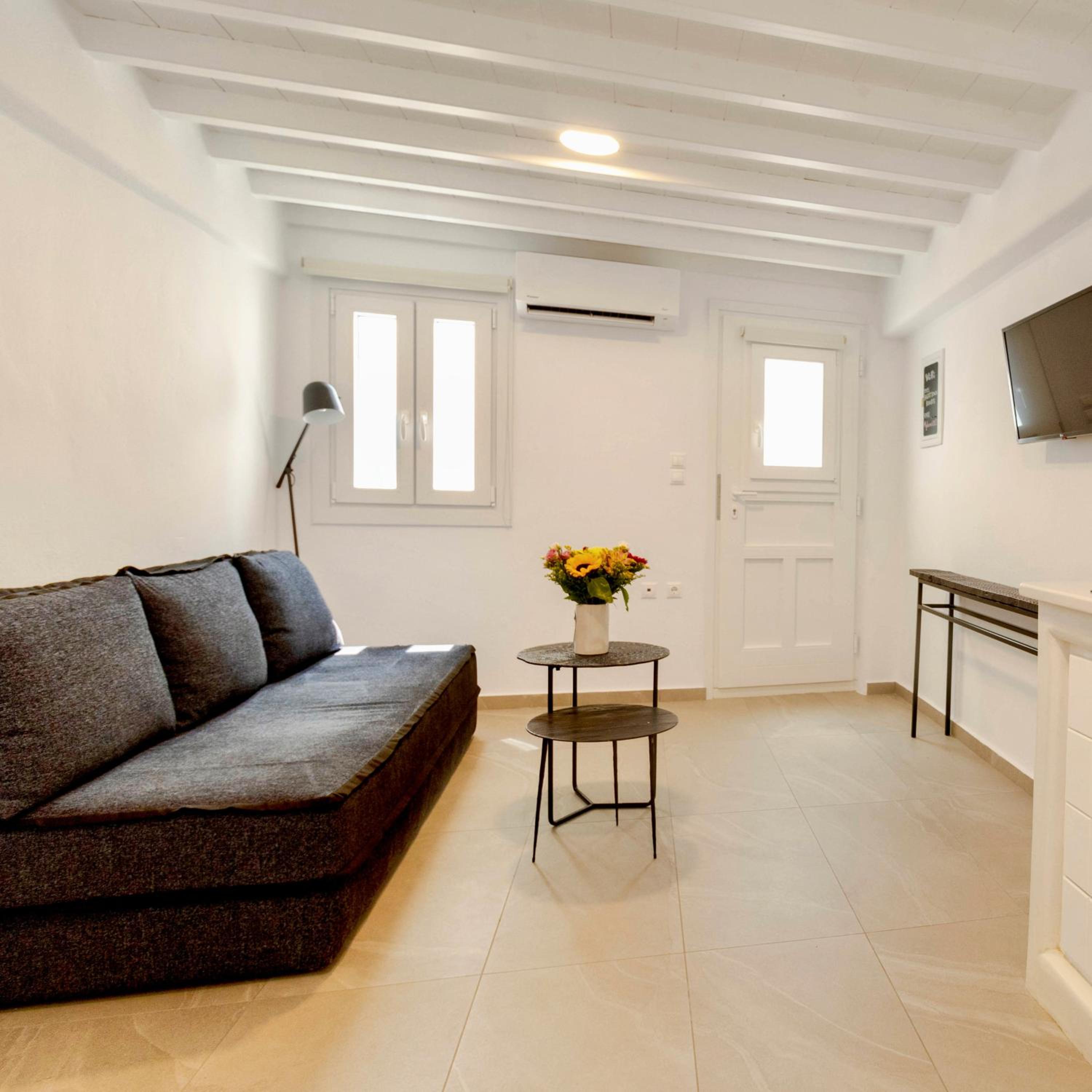 One-Bedroom Apartment - Photo 9