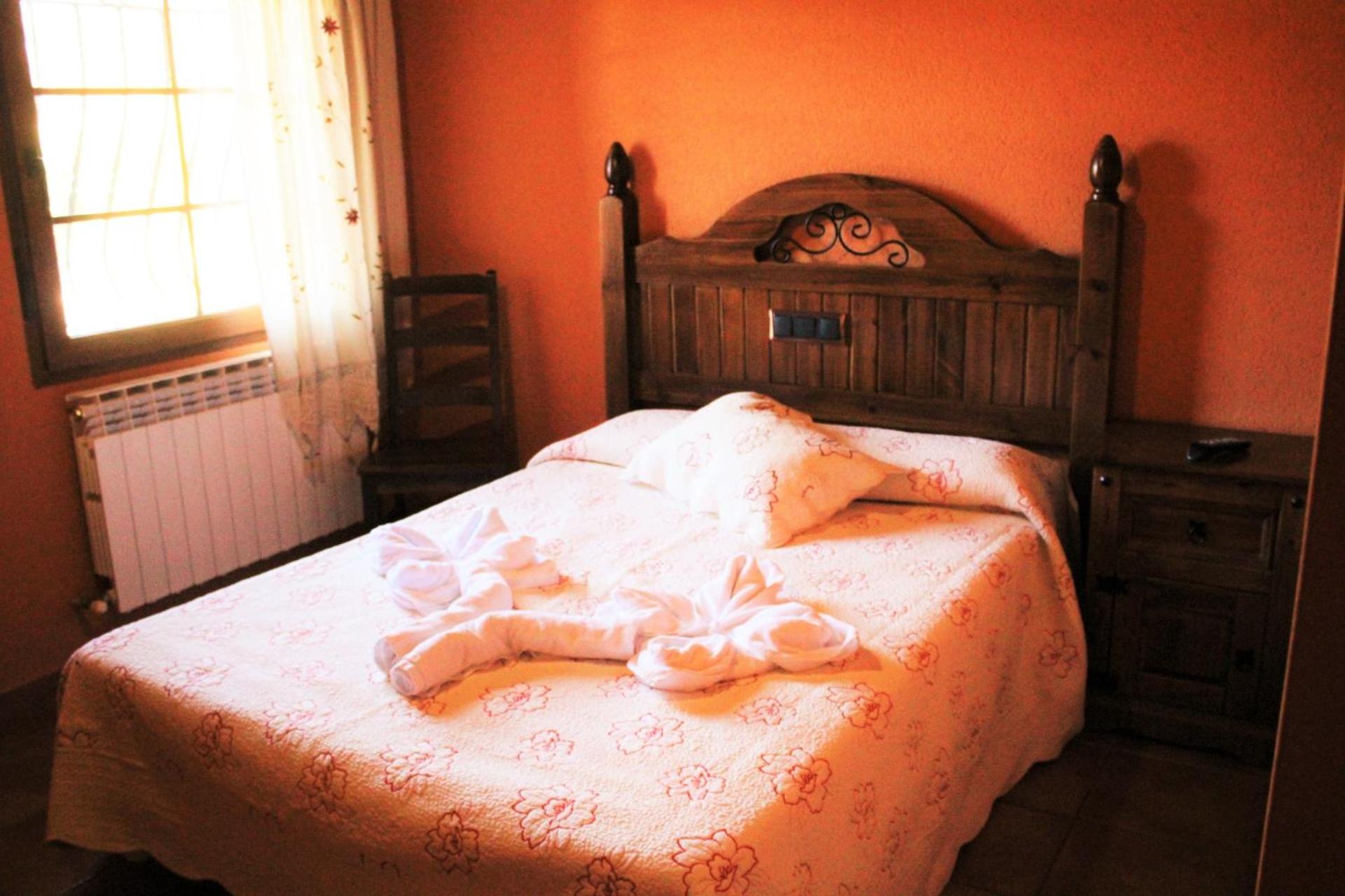 Single Room photo 2