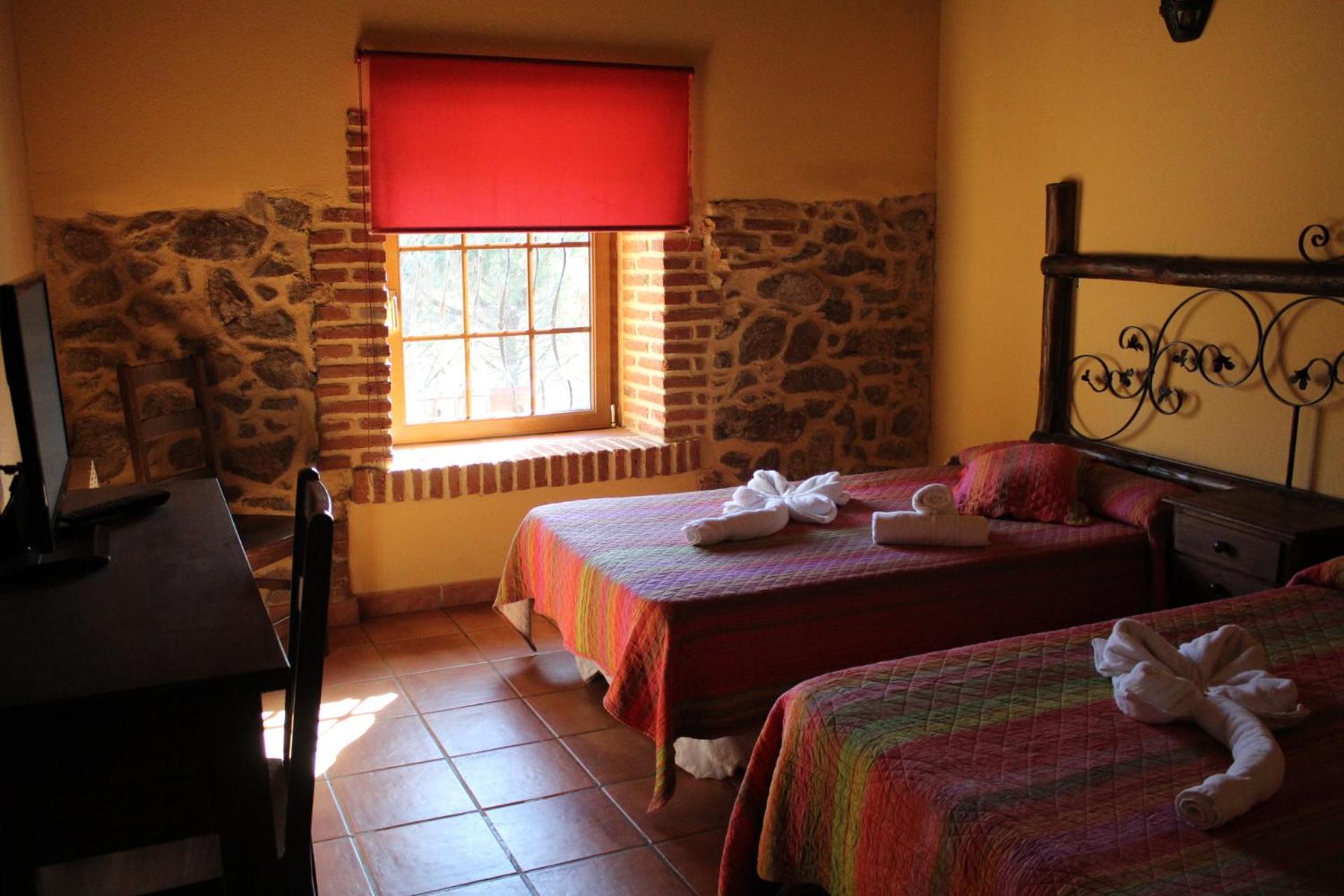 Twin Room photo 2