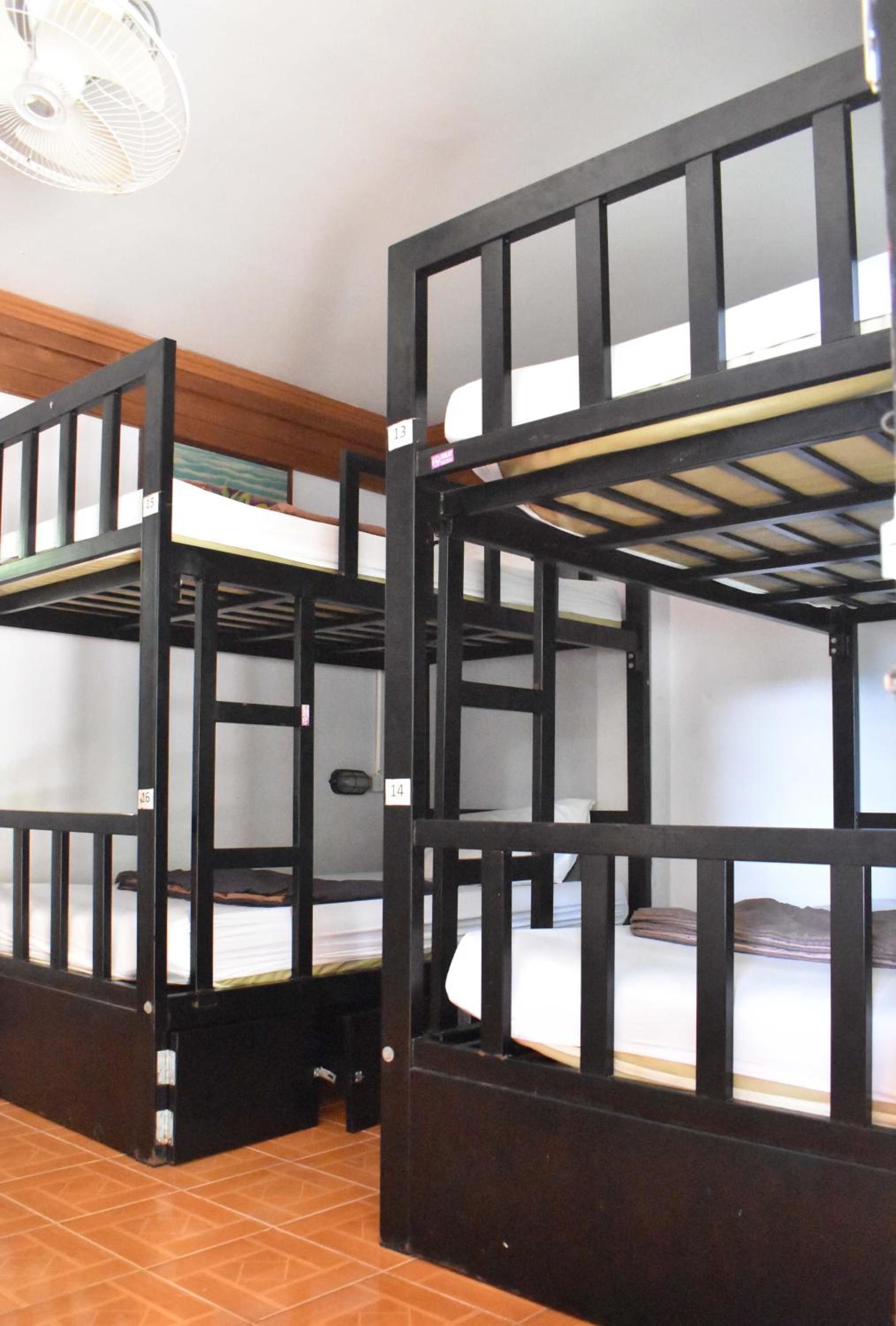10-Bed Mixed Dormitory Room photo 1