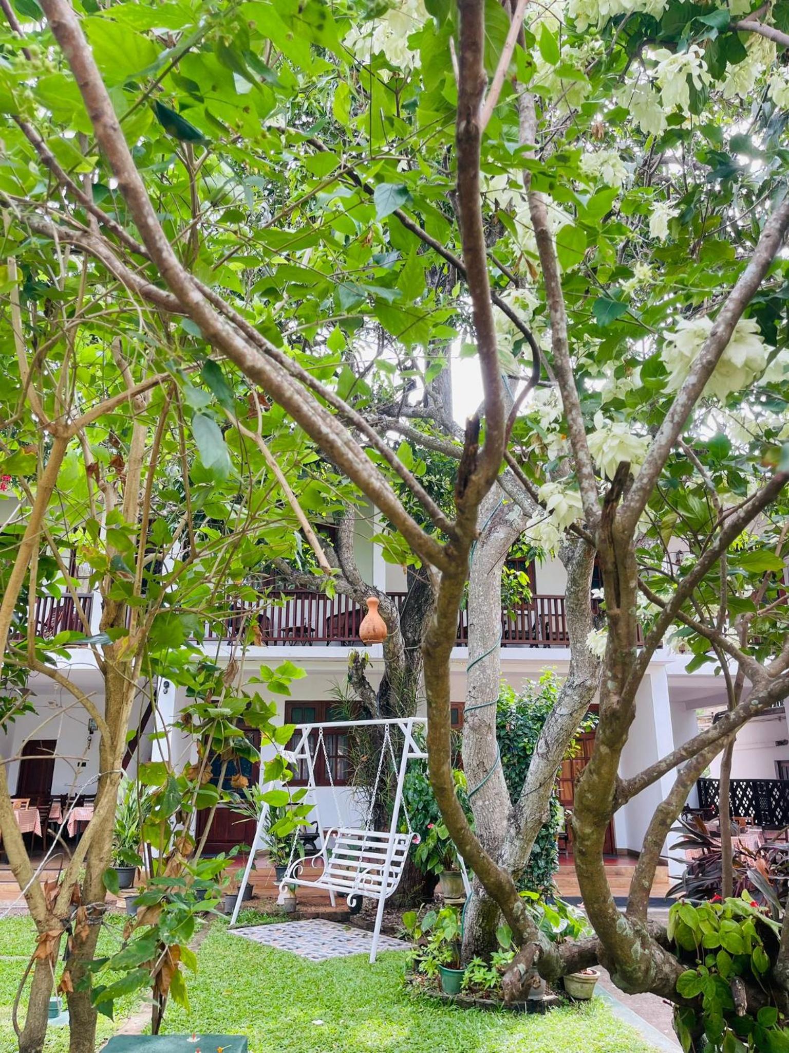 Deluxe Double Room with Balcony photo 3