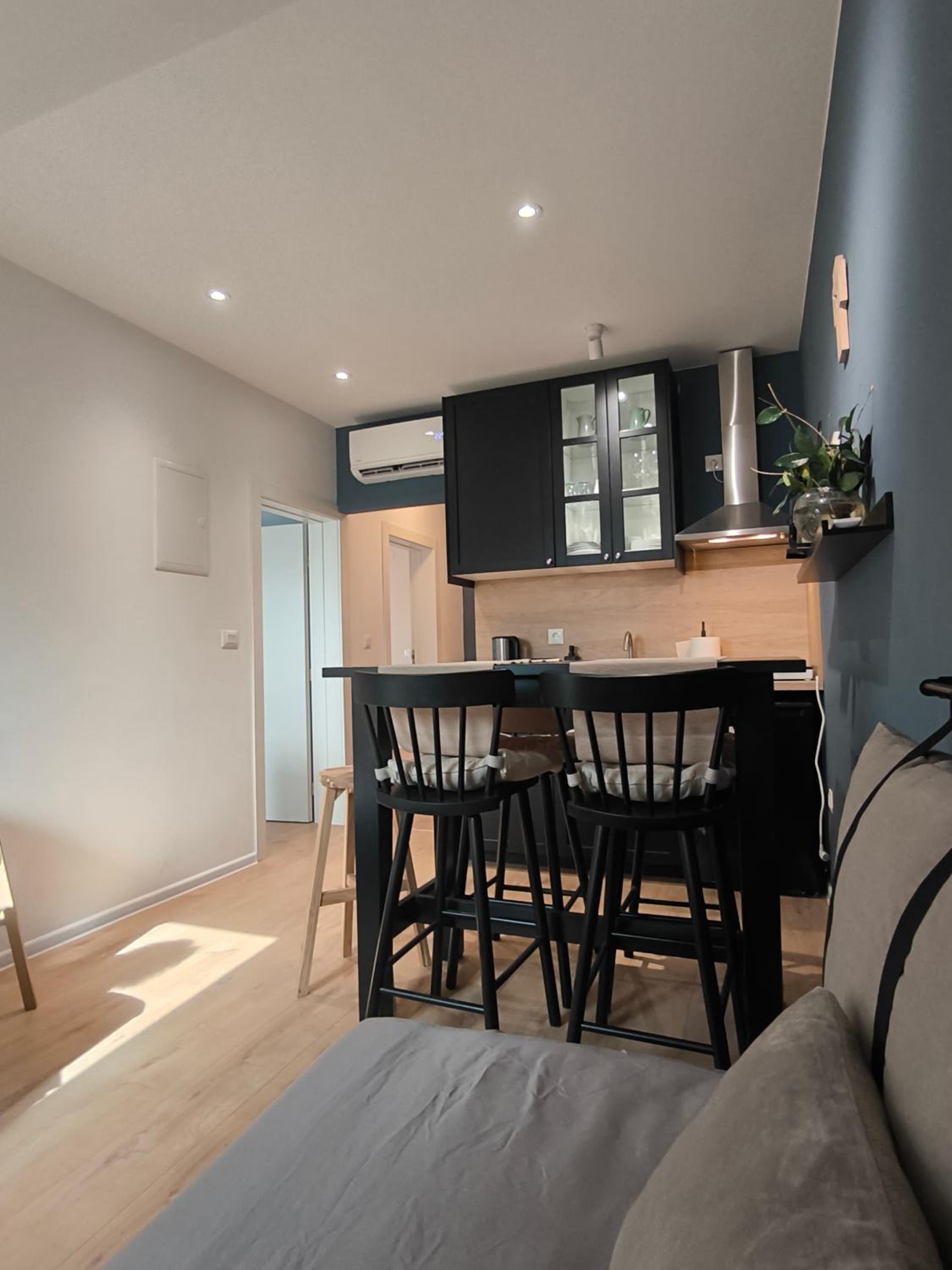 One-Bedroom Family Apartment photo 2