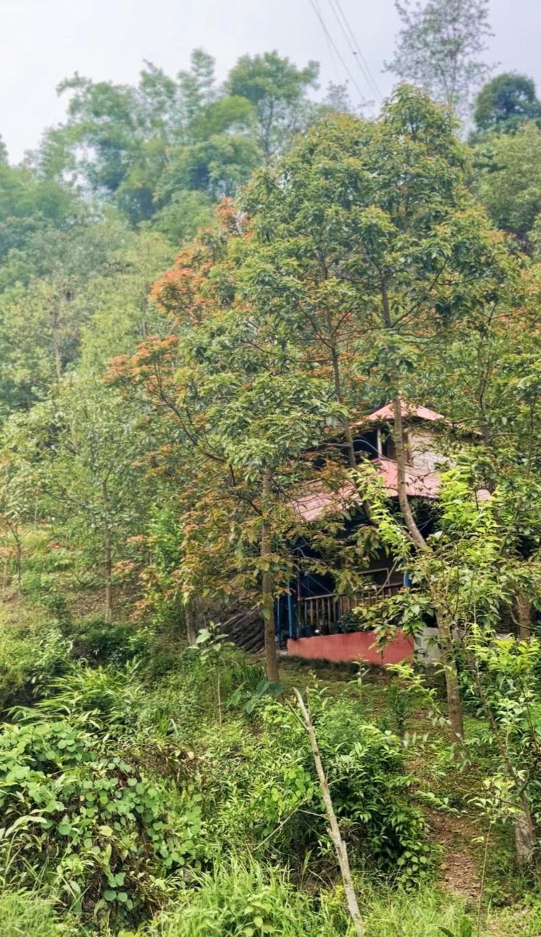 Triple Room With Balcony photo 3