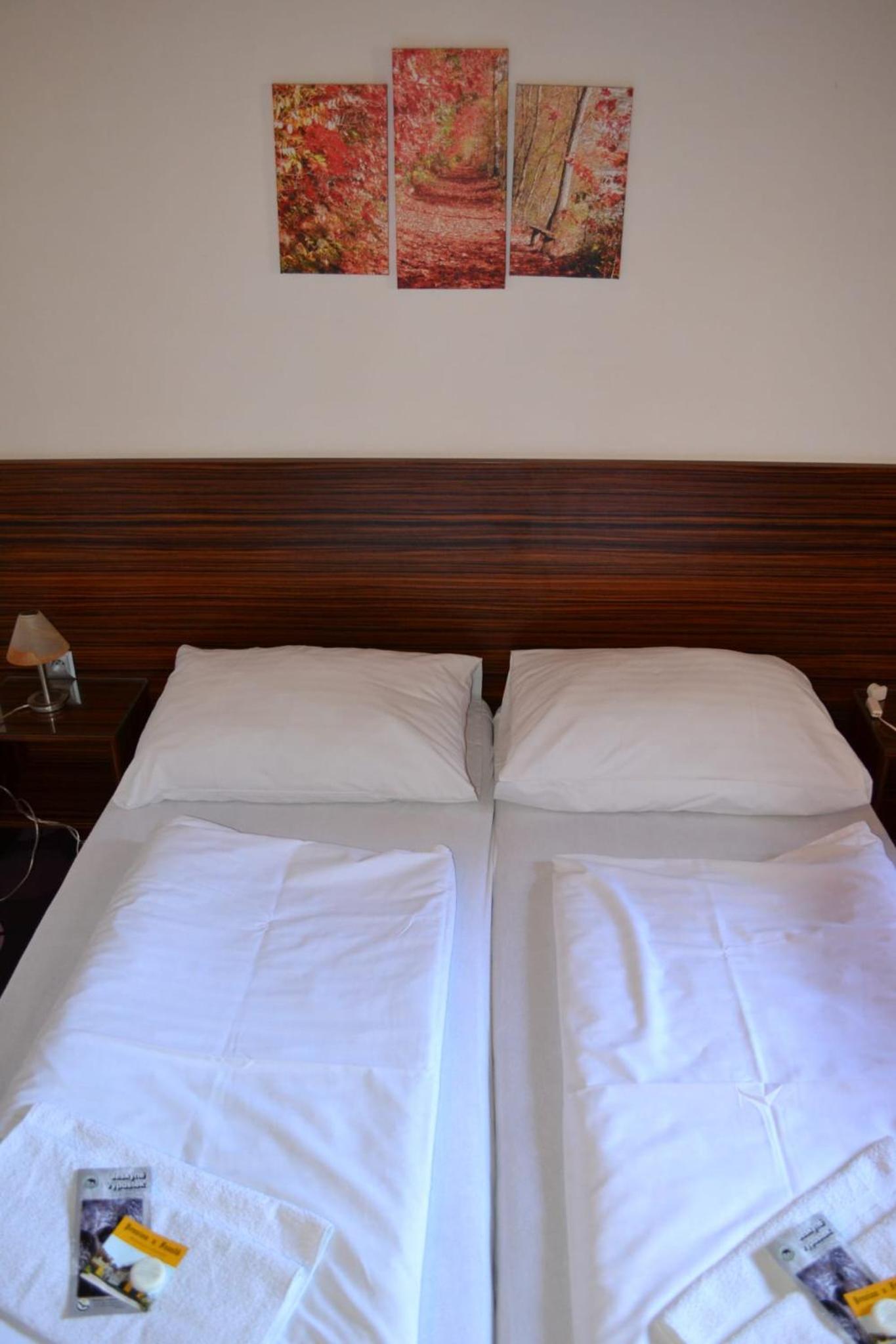 Standard Double Room photo 3