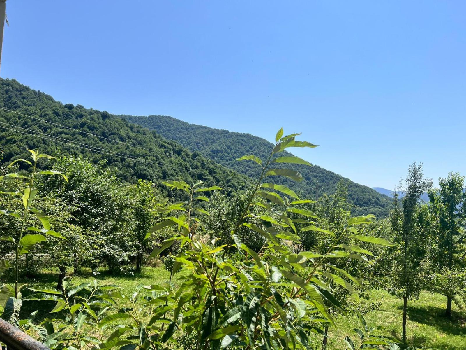 Villa photo 2