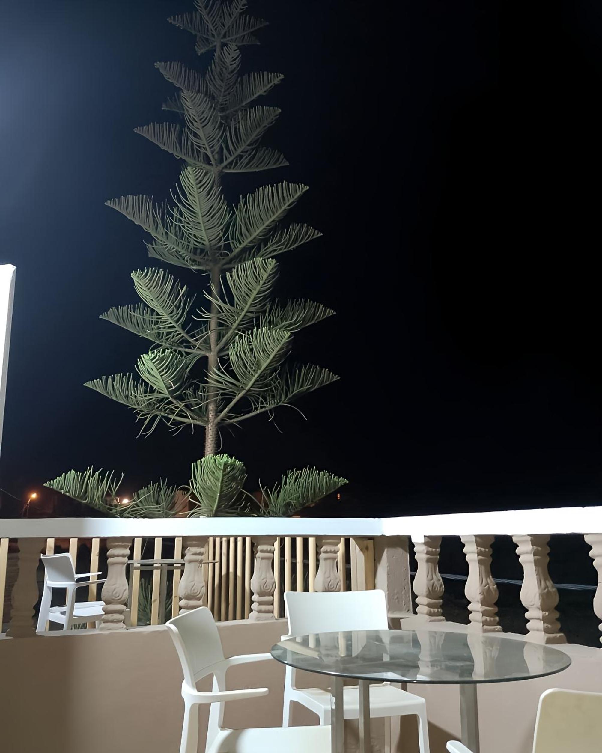 Double Room with Balcony photo 3