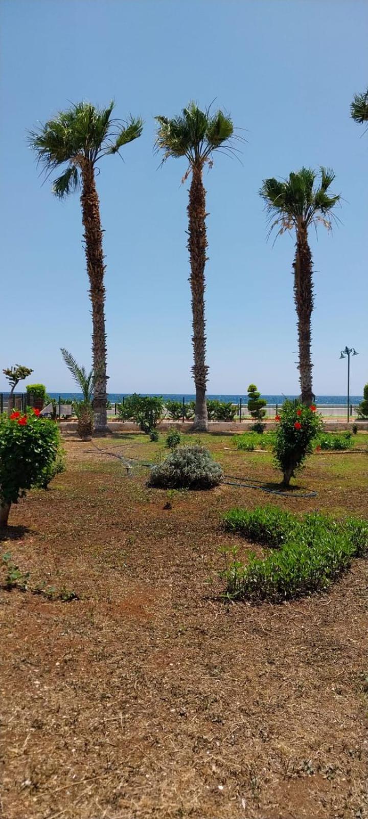 Apartment with Sea View photo 1