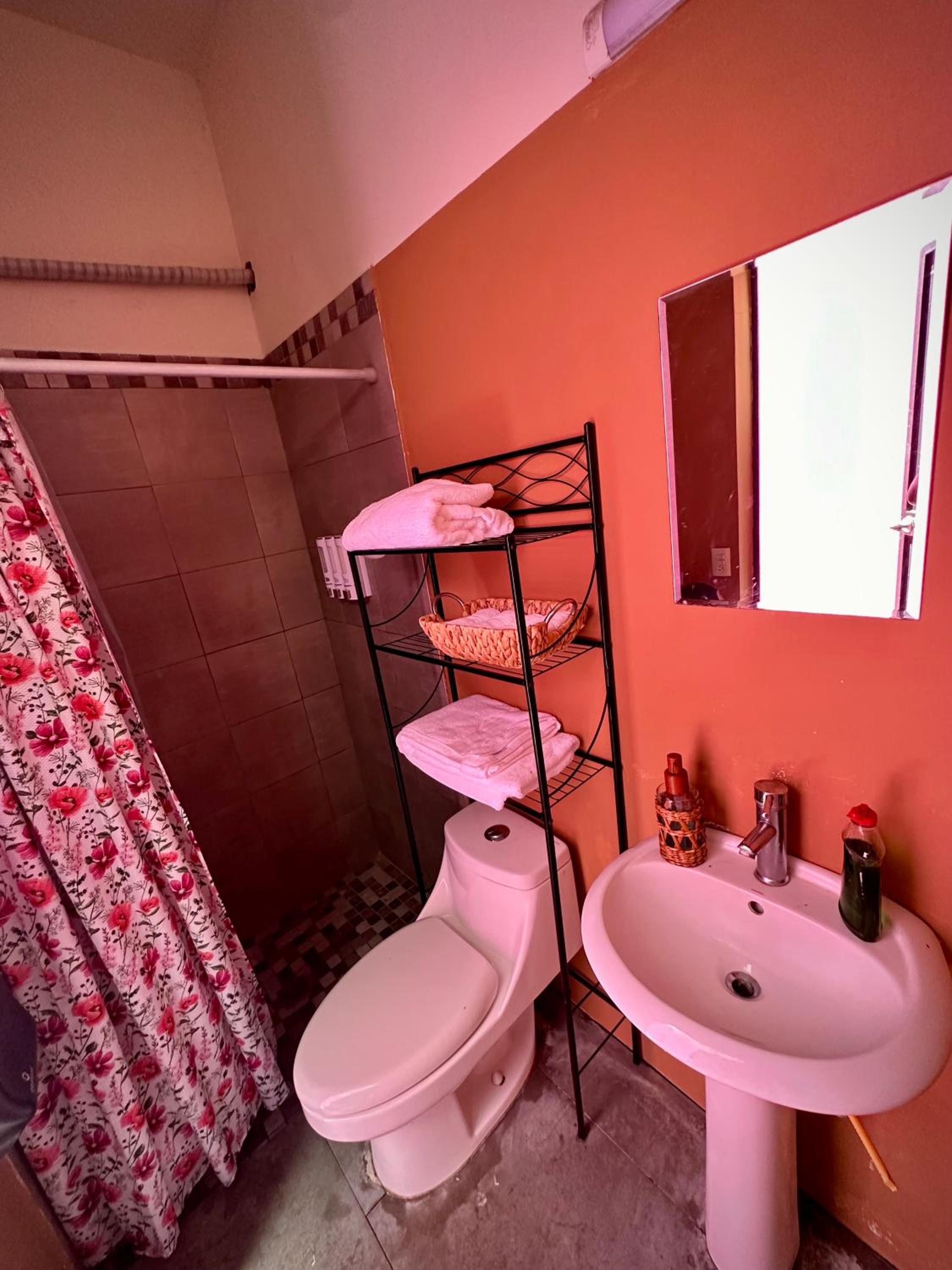 Twin Room photo 2