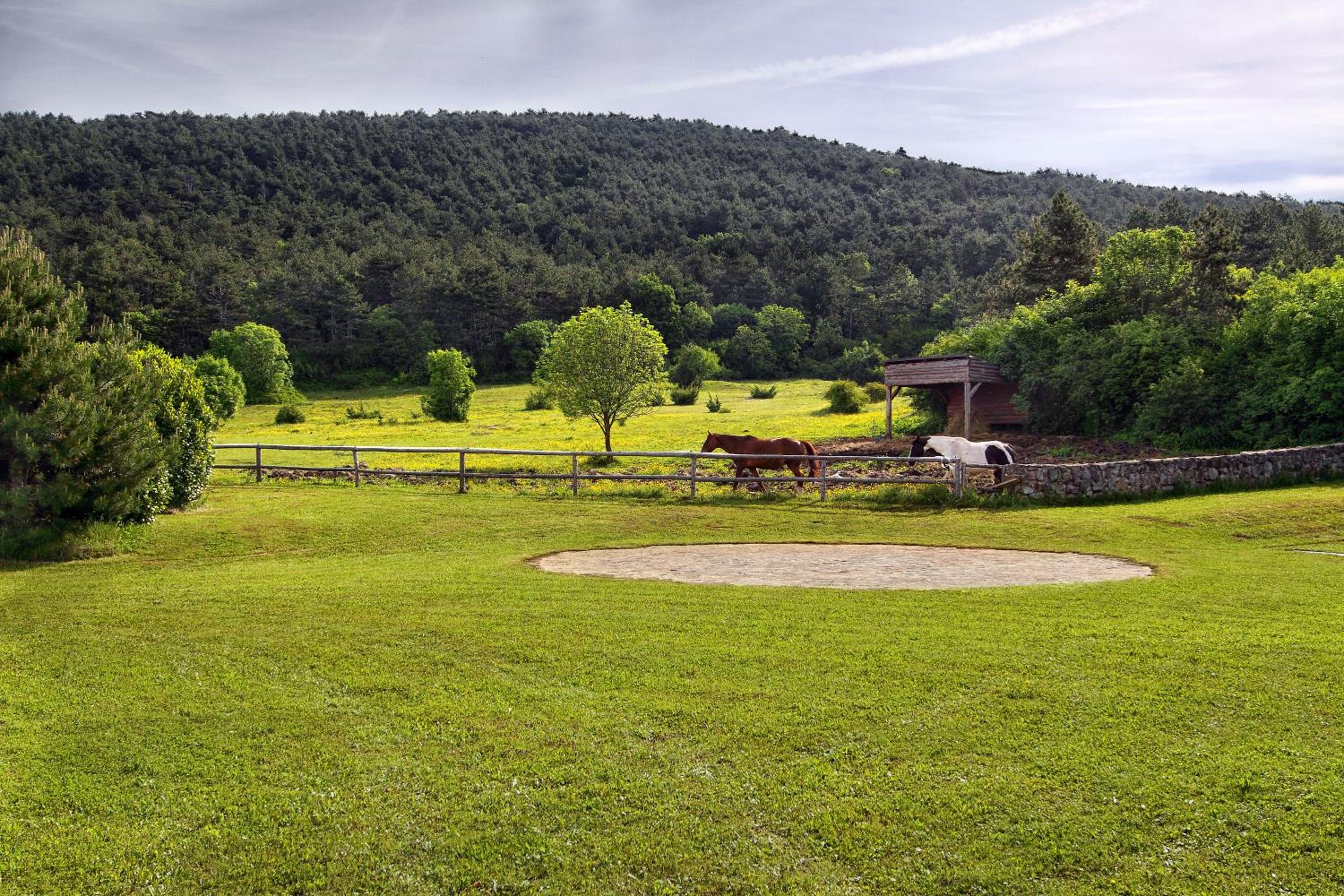 Villa photo 1