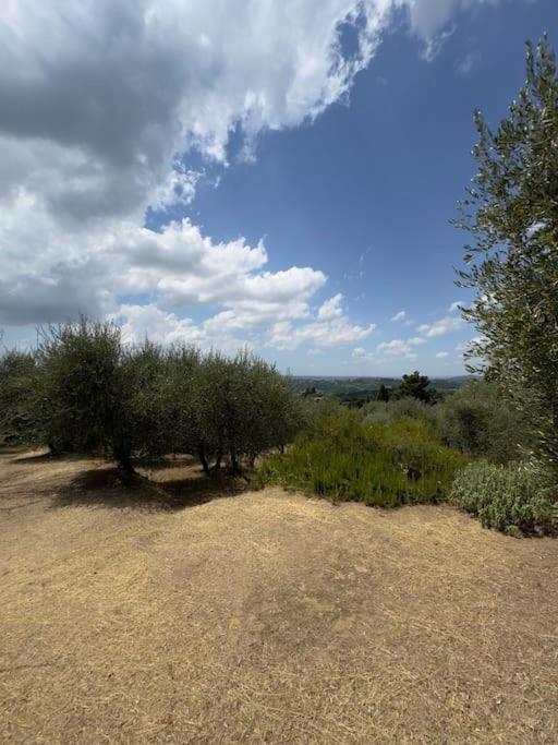 Two-Bedroom Apartment with View photo 3