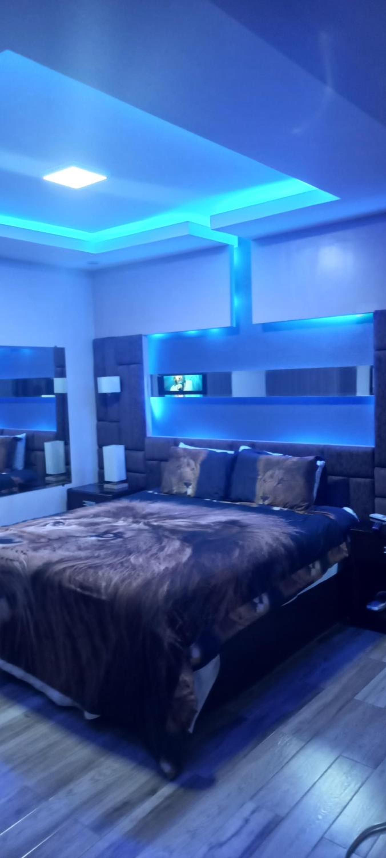 Suite - Photo 1