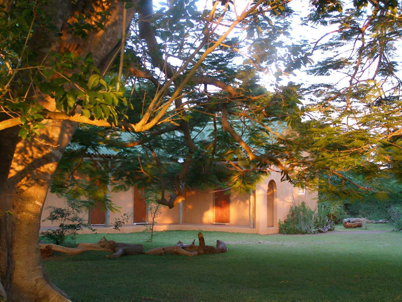 Double Room with Garden View photo 3