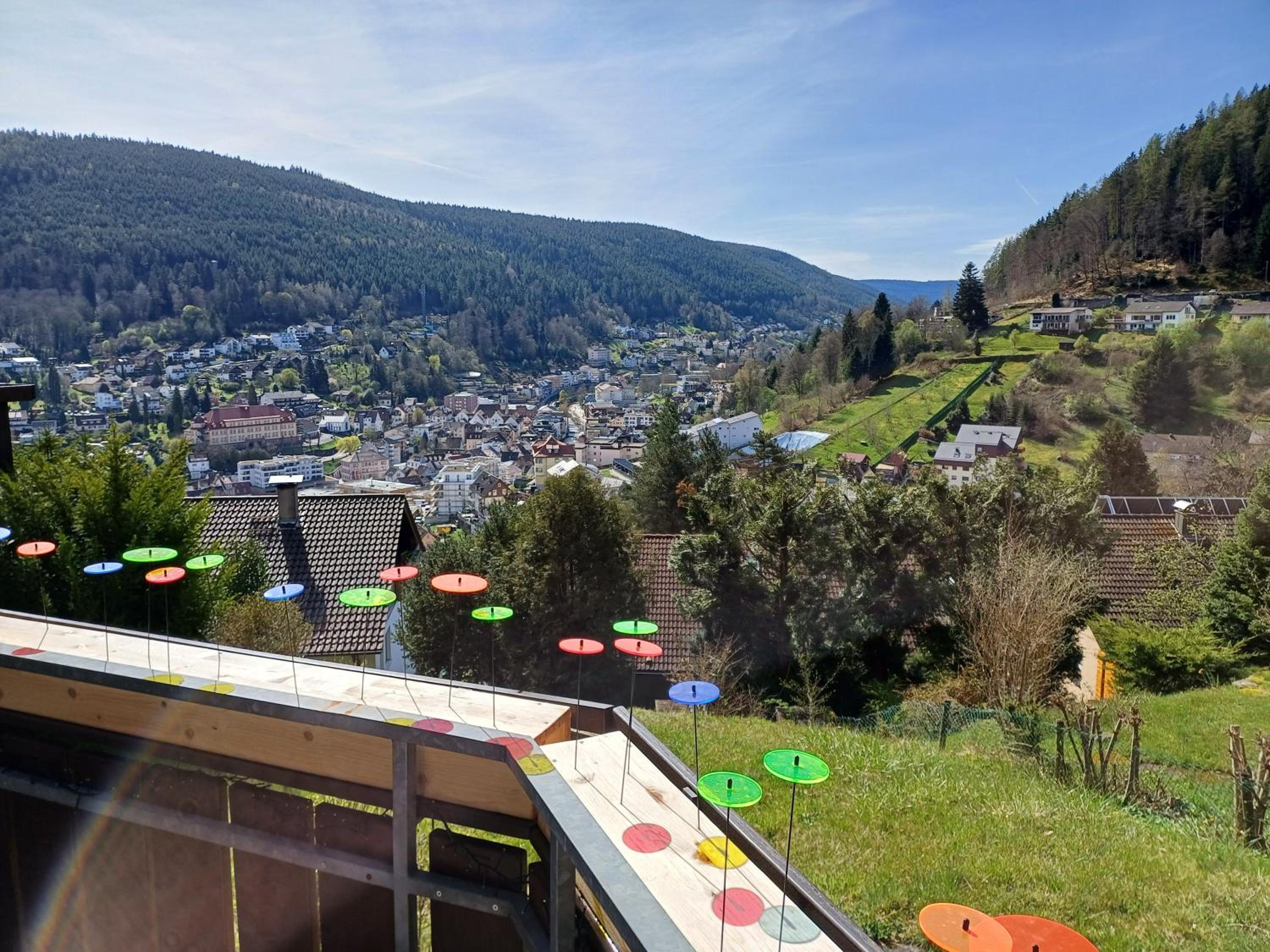 Two-Bedroom Deluxe Apartment with Garden View photo 2