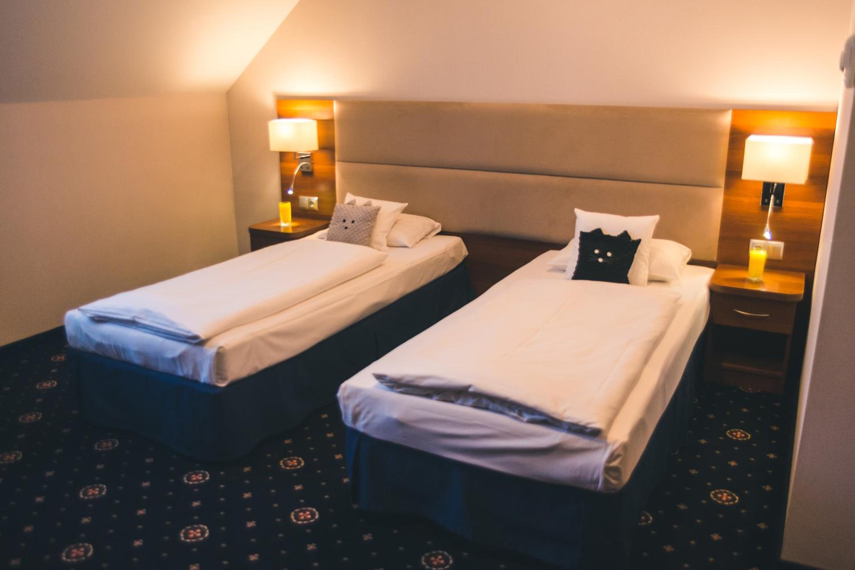 Standard Double or Twin Room photo 1