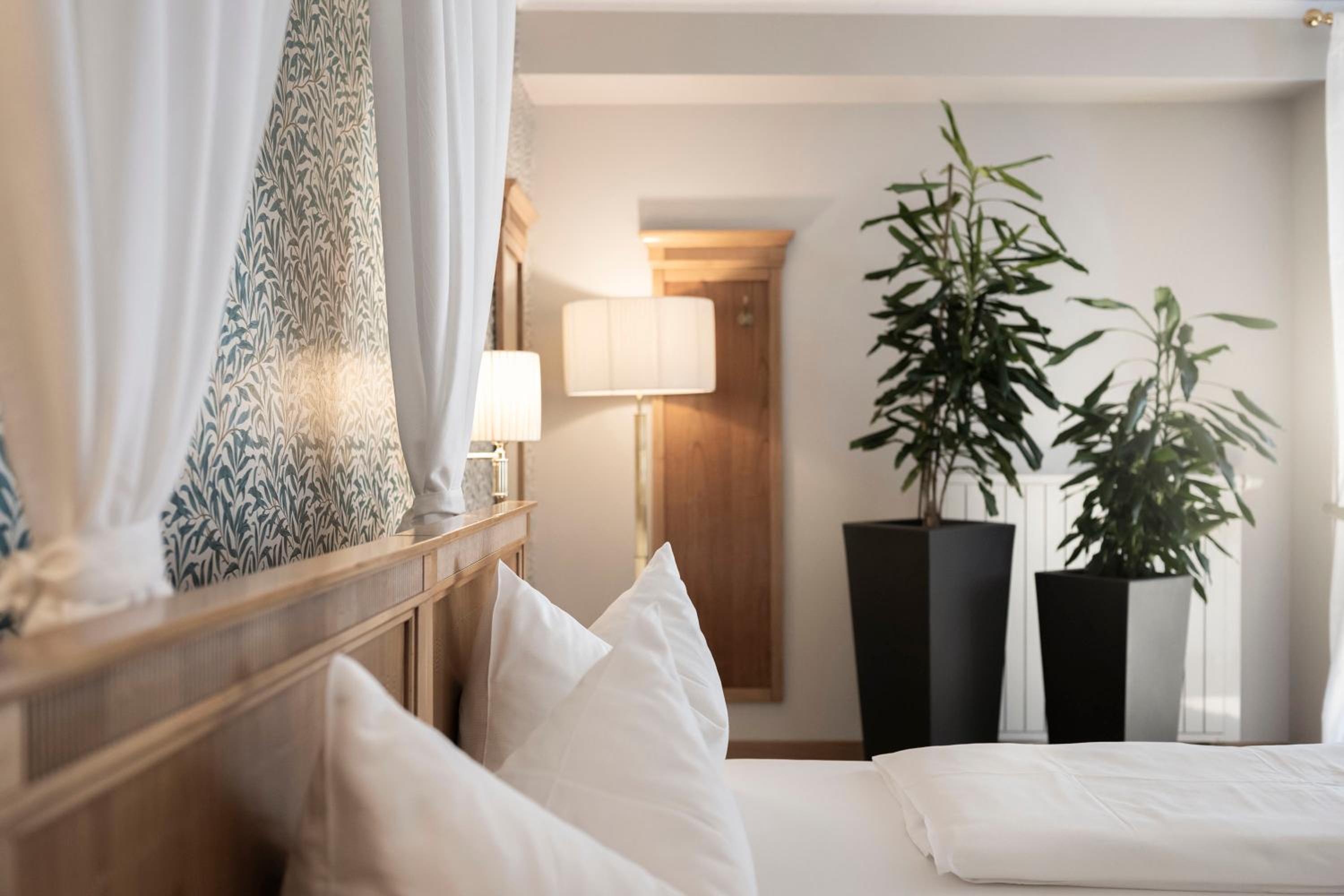 Suite with Terrace photo 2