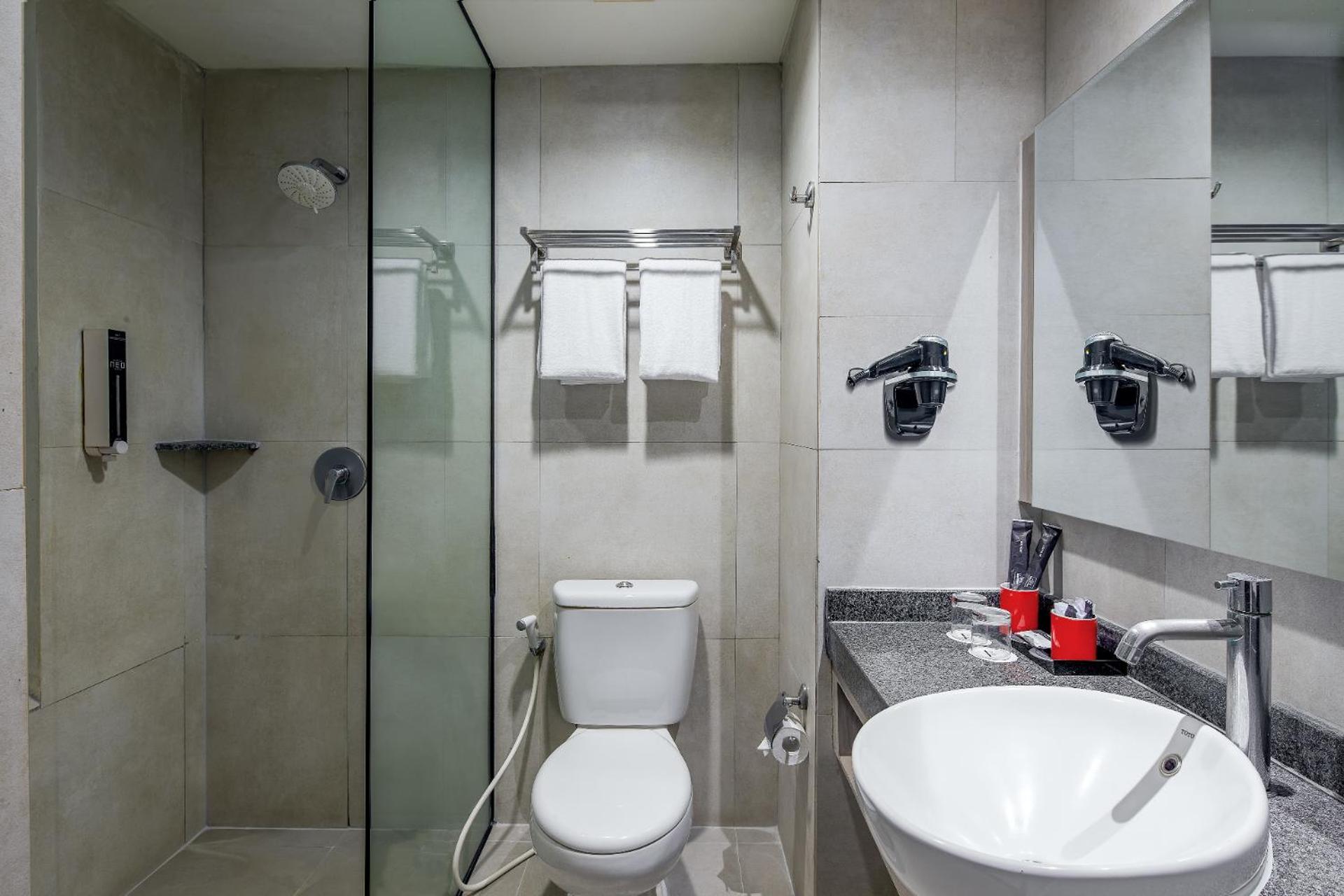 Deluxe Double or Twin Room photo 3