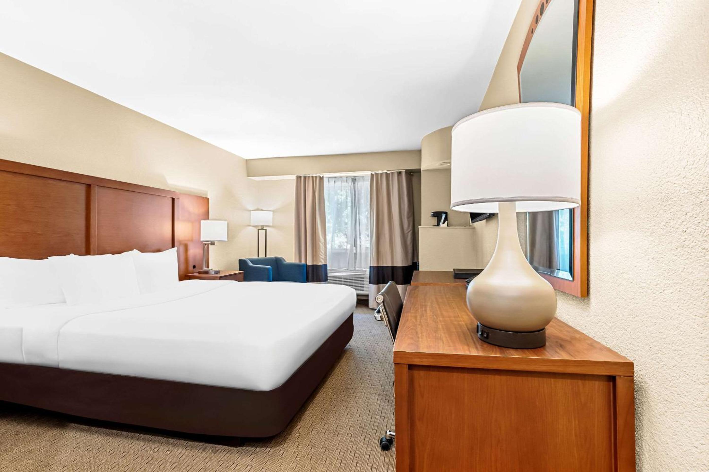 King Room photo 2