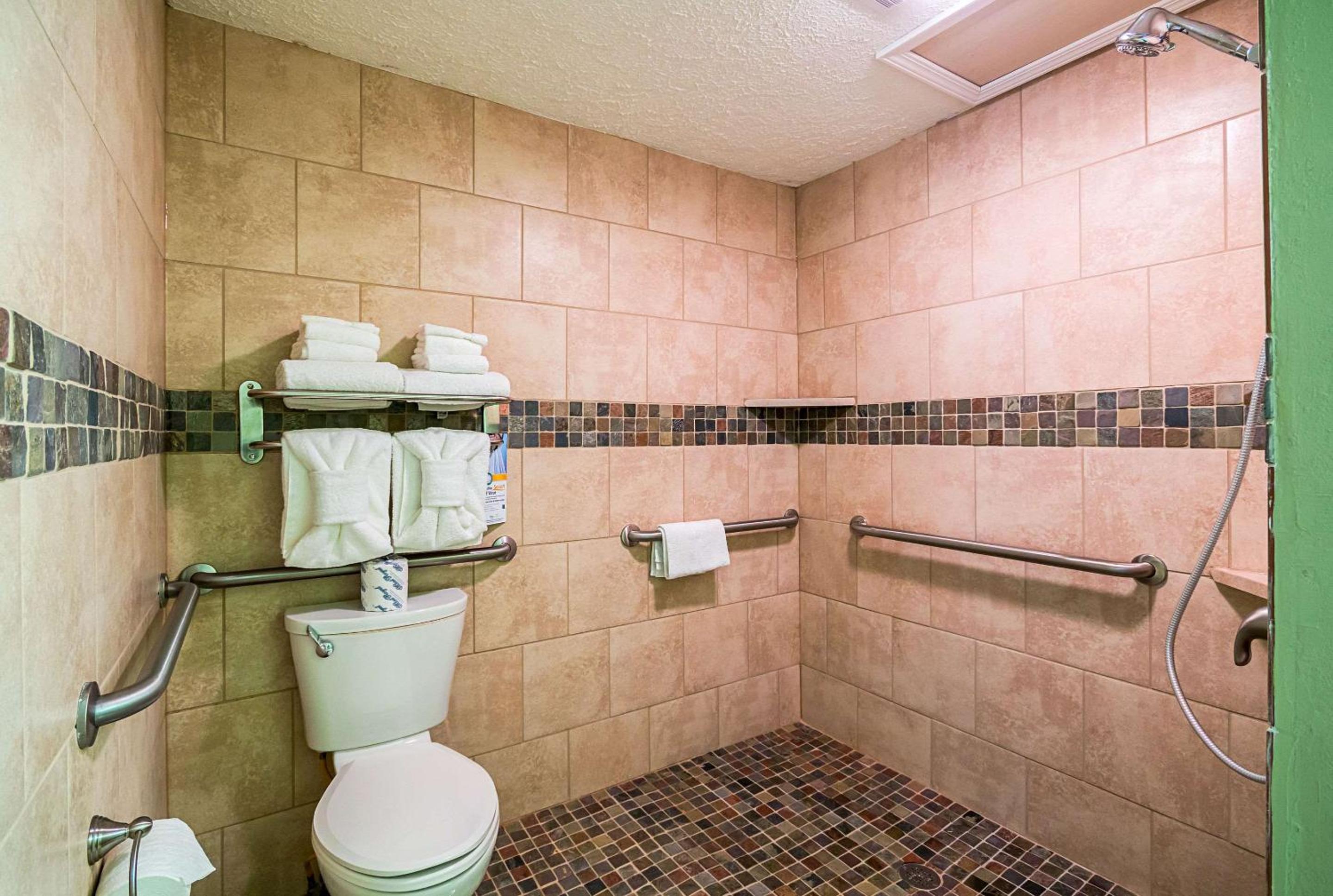 King Room with Roll-In Shower - Accessible/Non Smoking