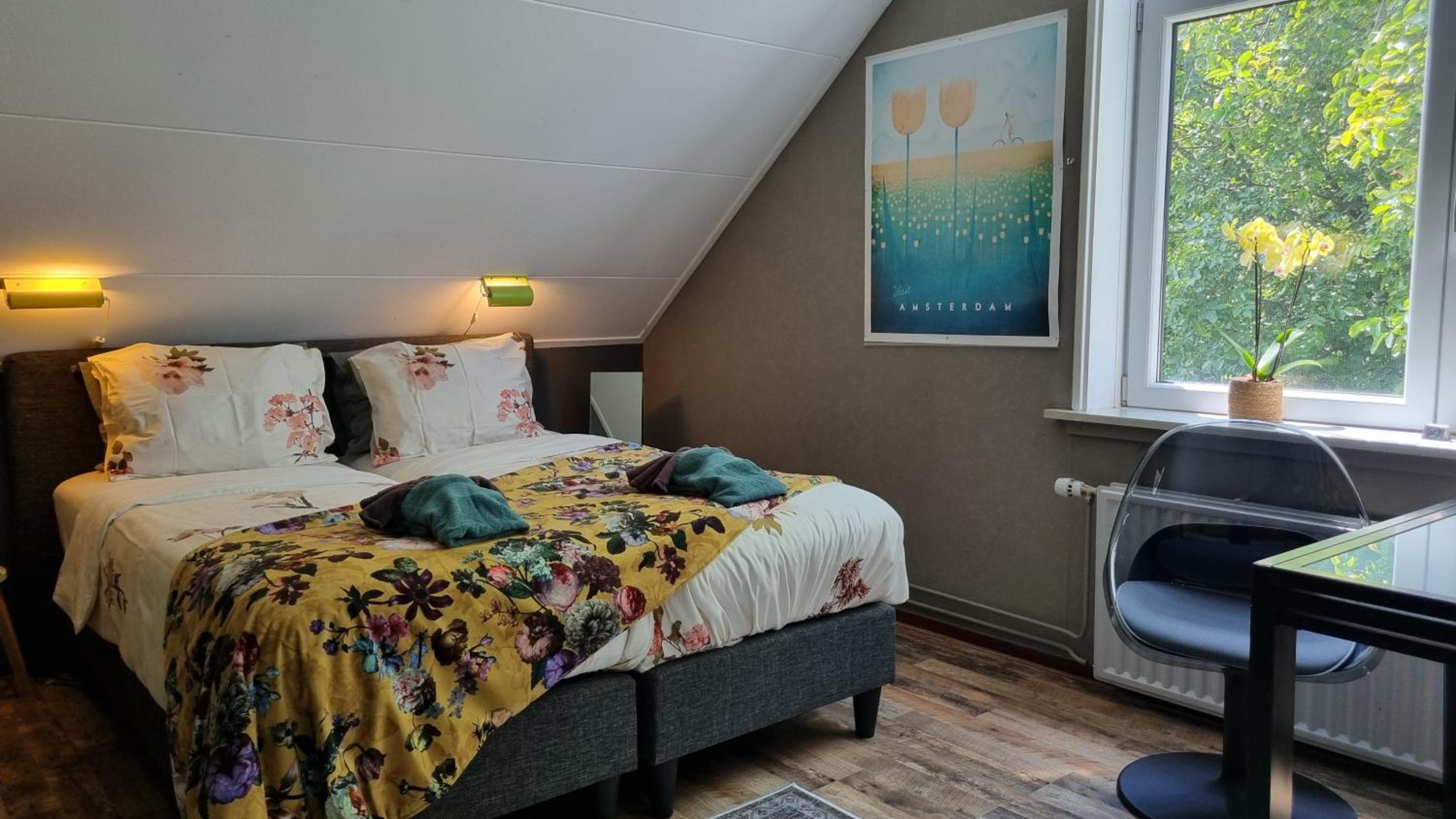 Deluxe Double or Twin Room photo 1