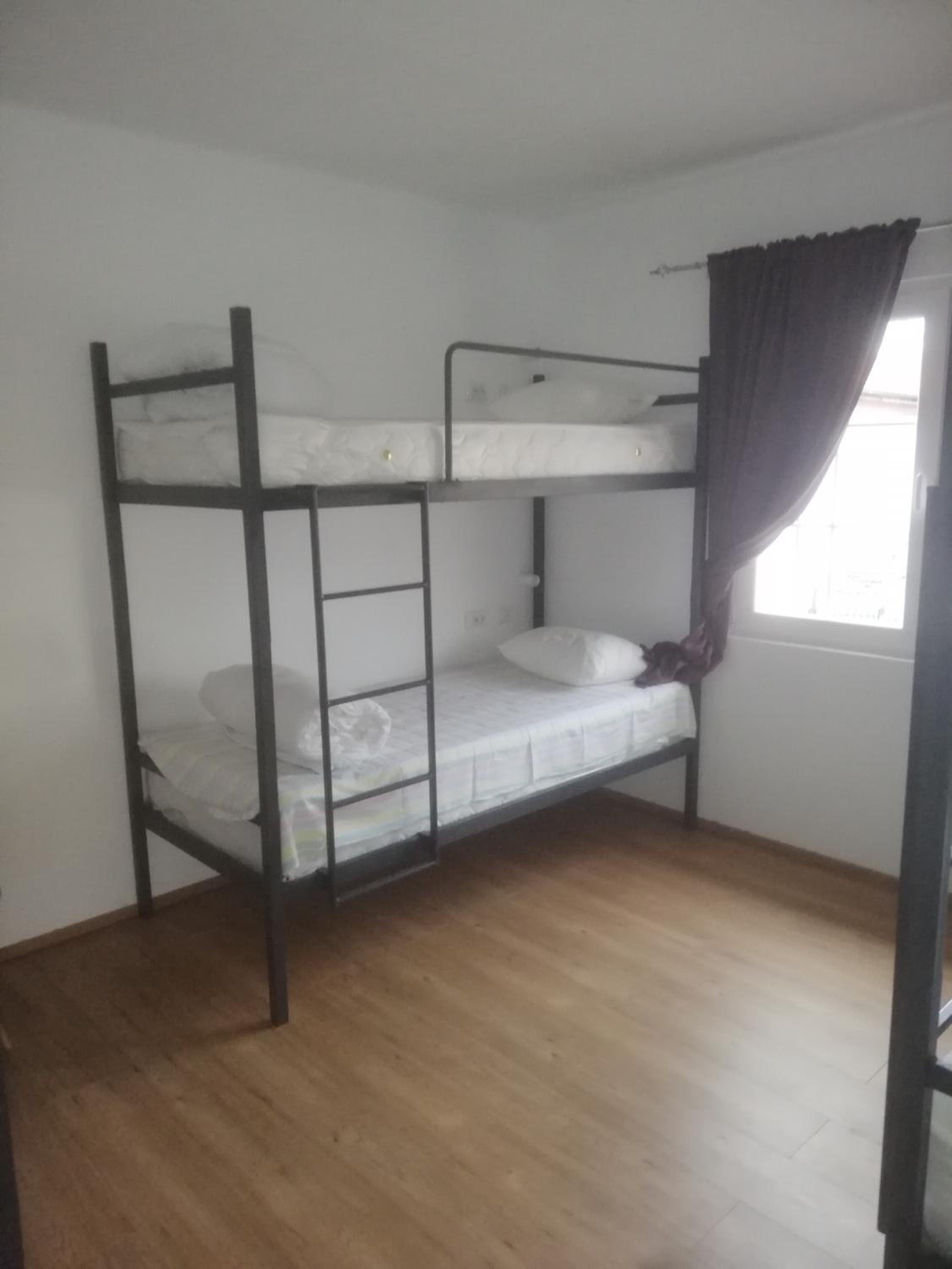 Single Bed in Mixed Dormitory Room photo 1