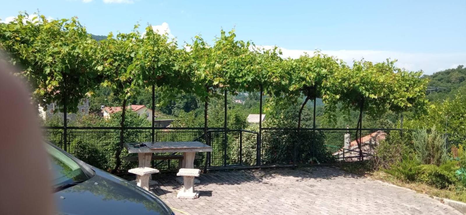 Two-Bedroom Apartment with Terrace photo 2